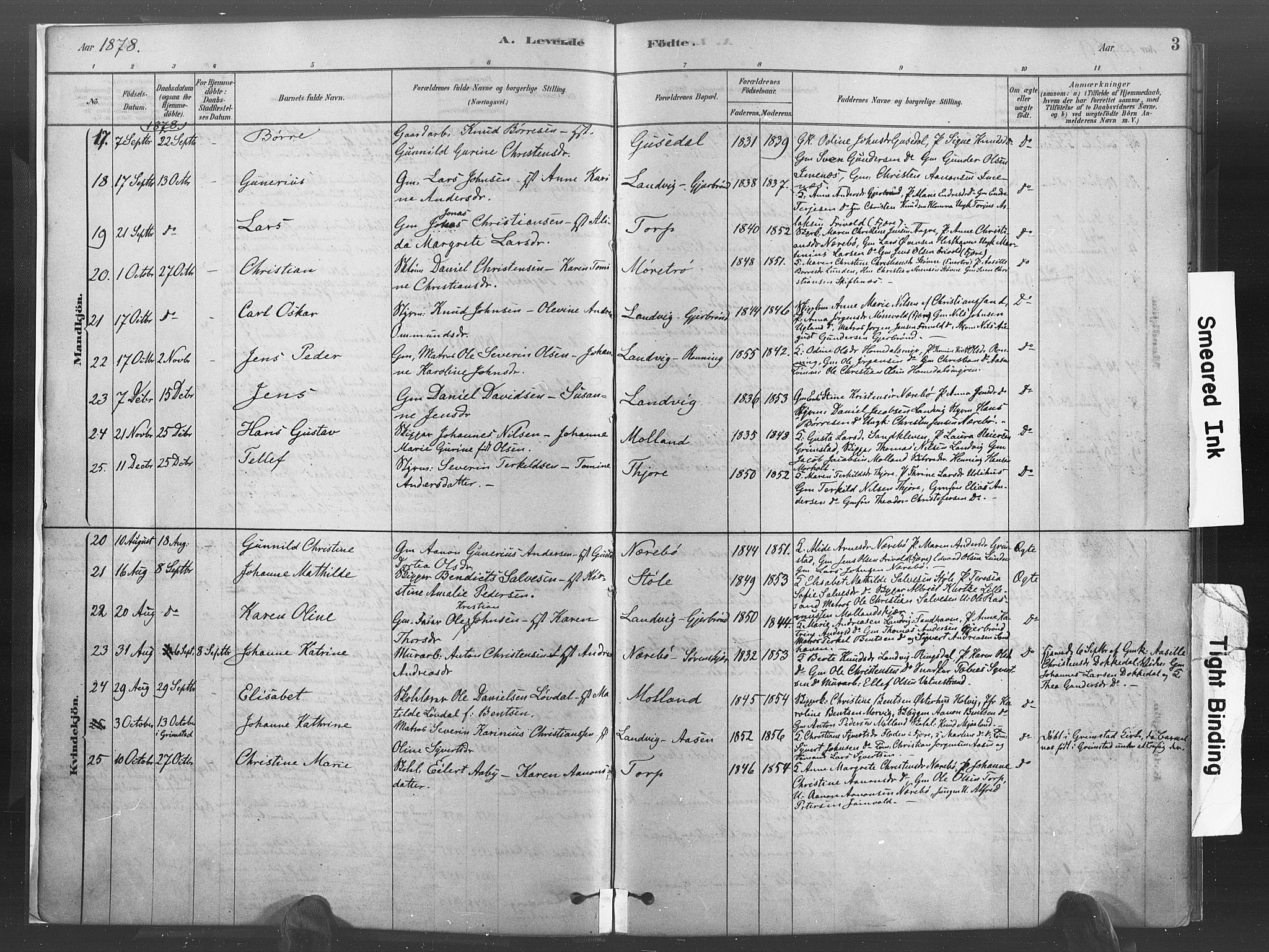 Hommedal sokneprestkontor, AV/SAK-1111-0023/F/Fa/Fab/L0006: Parish register (official) no. A 6, 1878-1897, p. 3