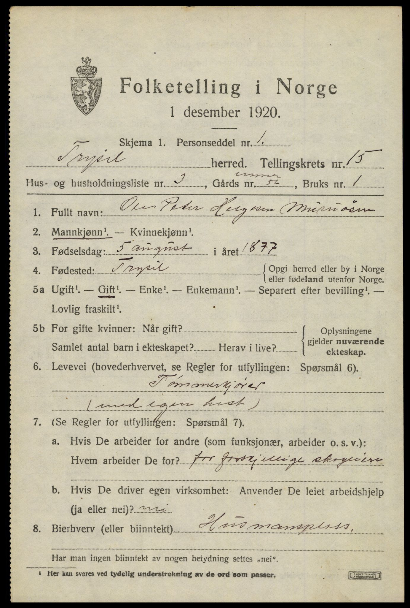 SAH, 1920 census for Trysil, 1920, p. 8817