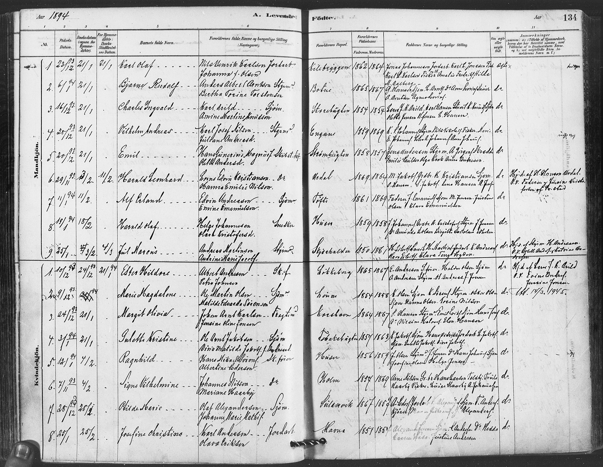 Hvaler prestekontor Kirkebøker, SAO/A-2001/F/Fa/L0008: Parish register (official) no. I 8, 1878-1895, p. 134