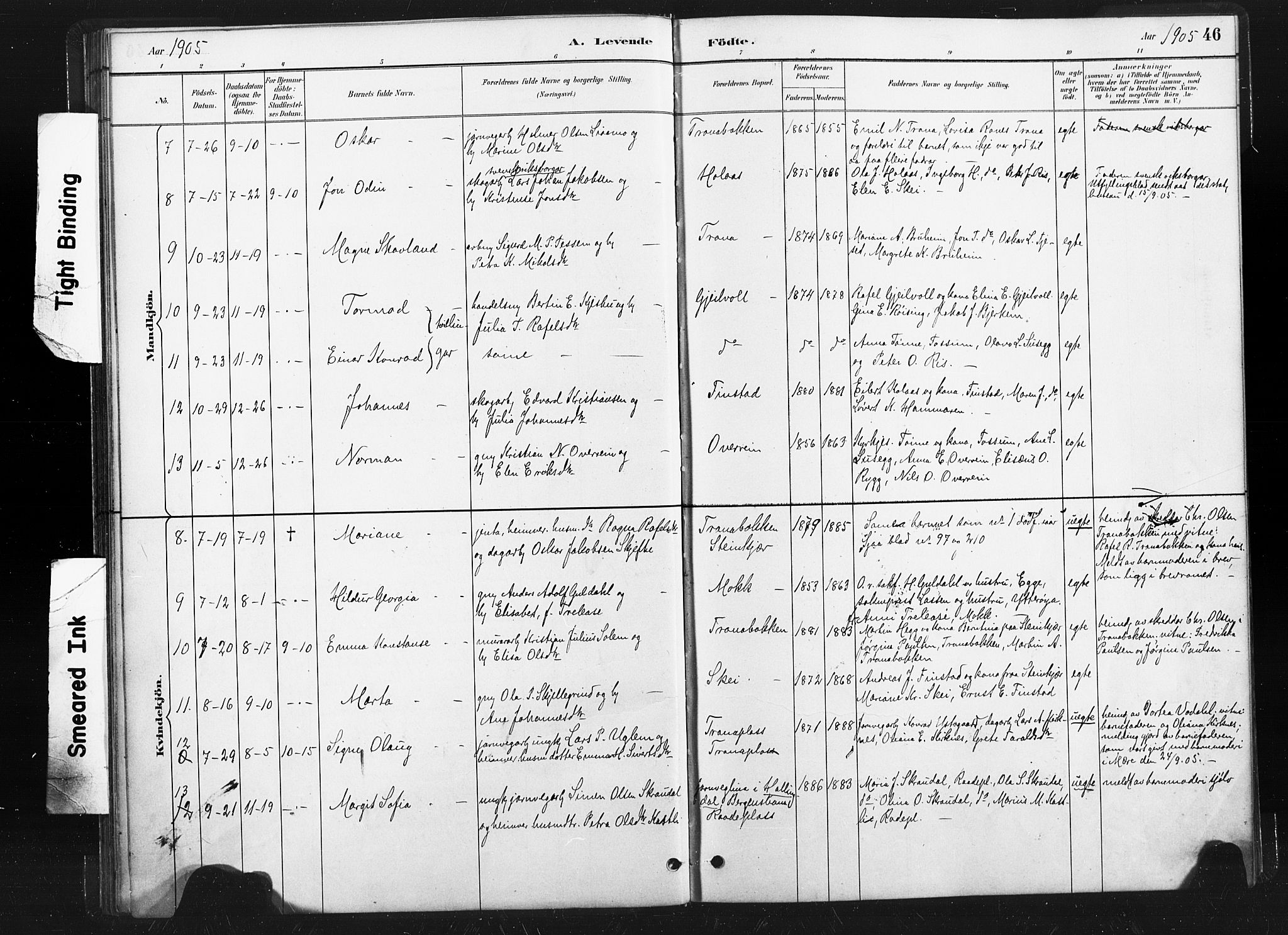 Ministerialprotokoller, klokkerbøker og fødselsregistre - Nord-Trøndelag, SAT/A-1458/736/L0361: Parish register (official) no. 736A01, 1884-1906, p. 46