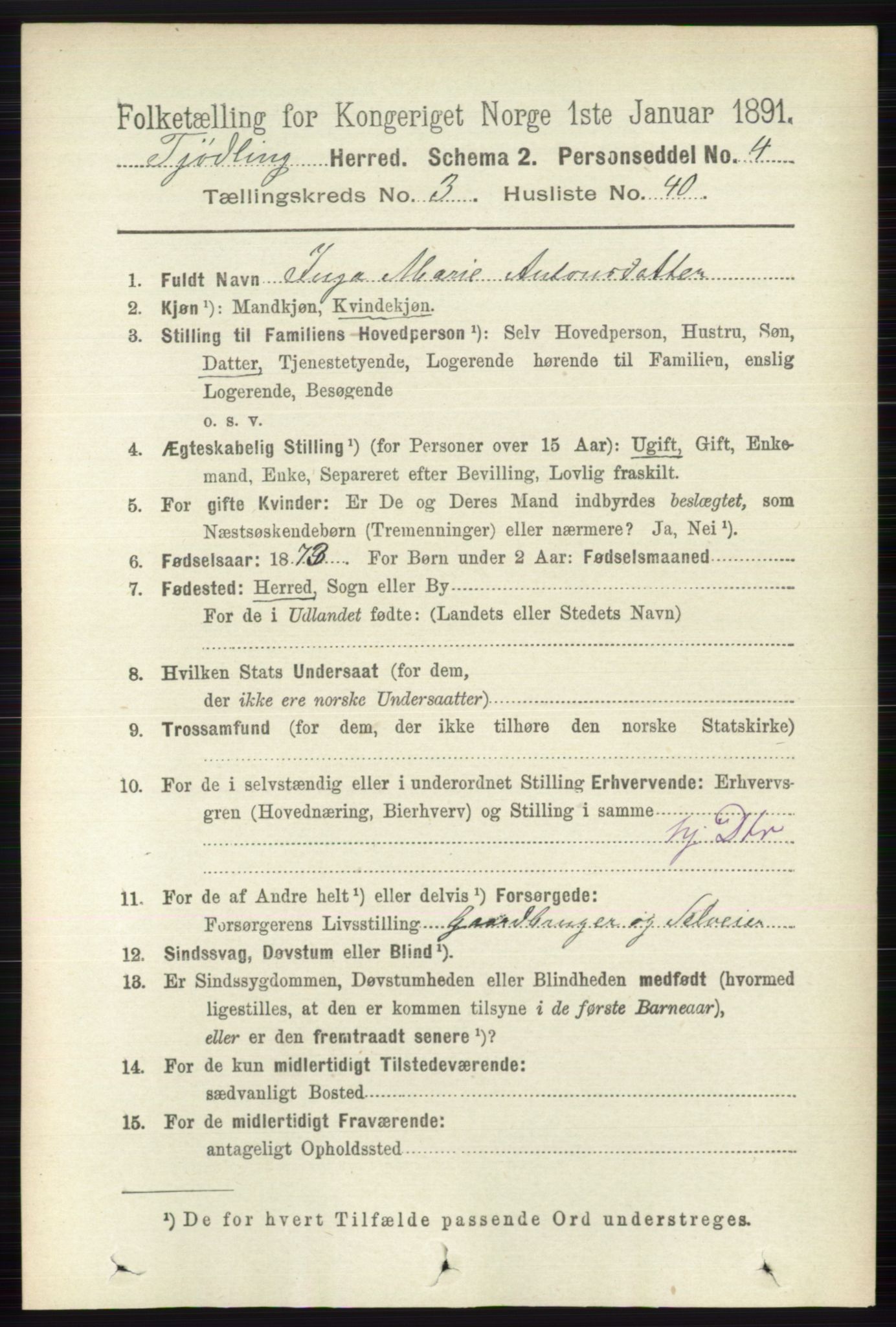 RA, 1891 census for 0725 Tjølling, 1891, p. 1118