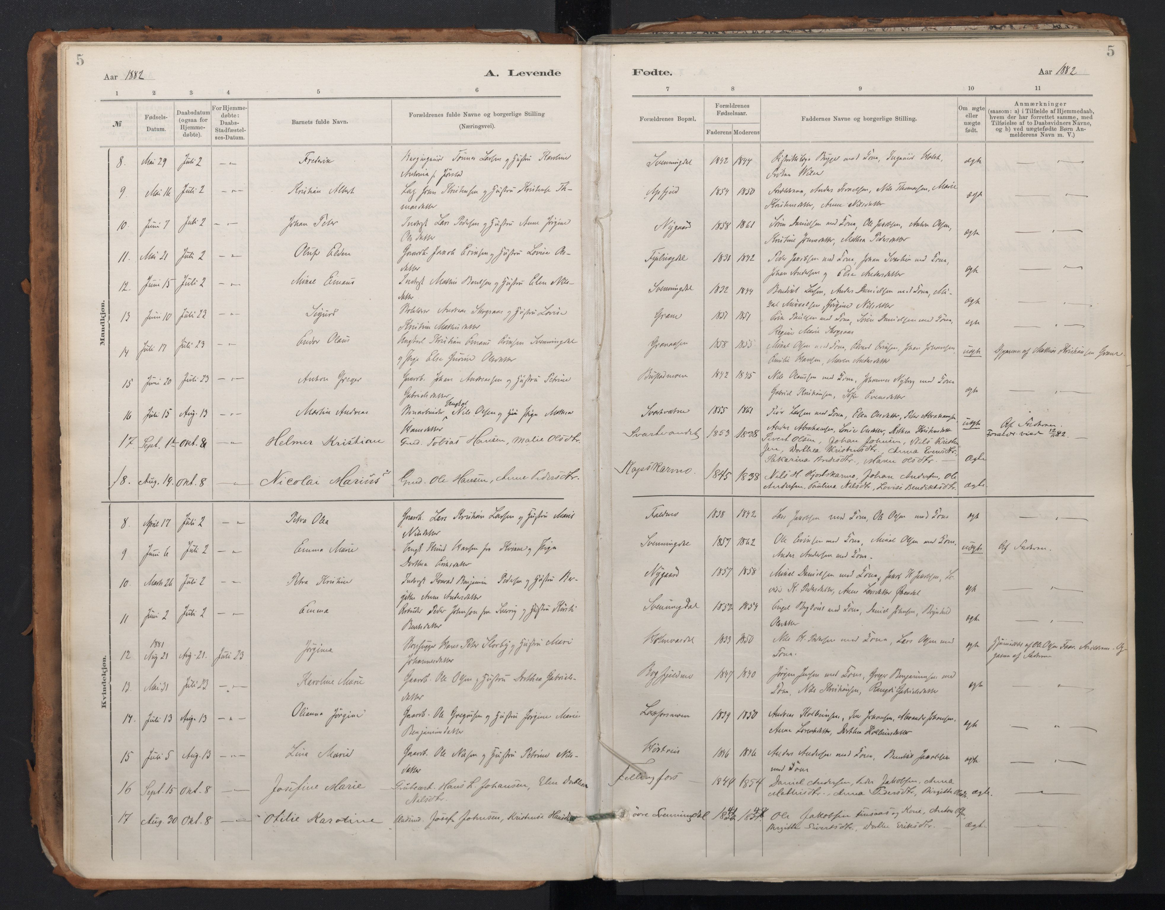 Ministerialprotokoller, klokkerbøker og fødselsregistre - Nordland, SAT/A-1459/824/L0338: Parish register (official) no. 824A01, 1880-1915, p. 5