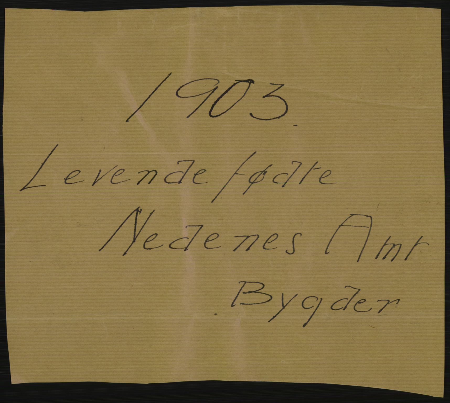 Statistisk sentralbyrå, Sosiodemografiske emner, Befolkning, AV/RA-S-2228/D/Df/Dfa/Dfaa/L0010: Nedenes amt: Fødte, gifte, døde, 1903, p. 1