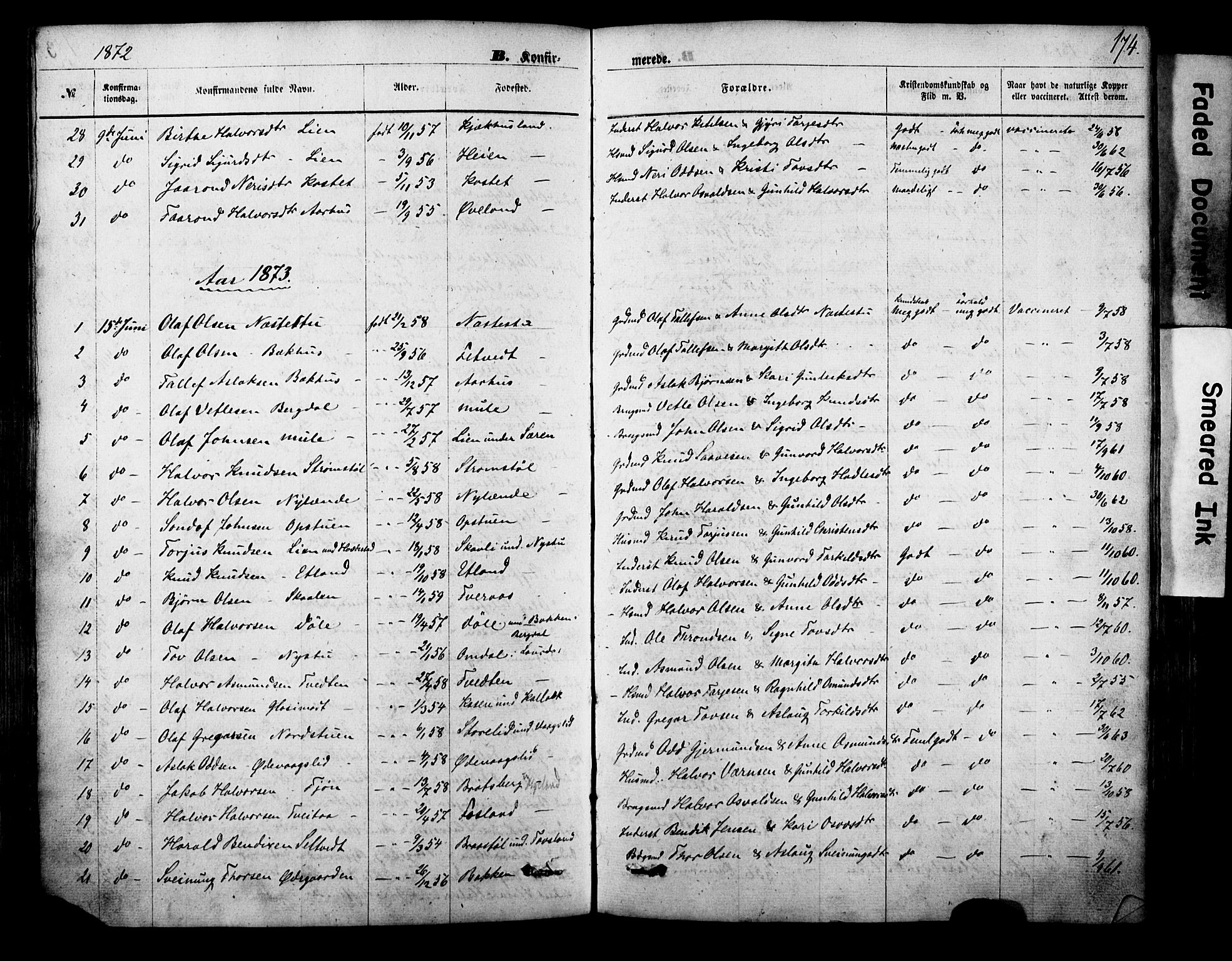Vinje kirkebøker, SAKO/A-312/F/Fa/L0005: Parish register (official) no. I 5, 1870-1886, p. 174