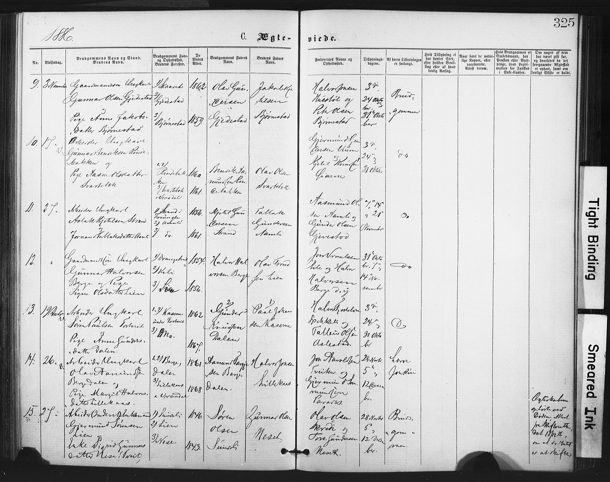 Fyresdal kirkebøker, SAKO/A-263/F/Fa/L0006: Parish register (official) no. I 6, 1872-1886, p. 325