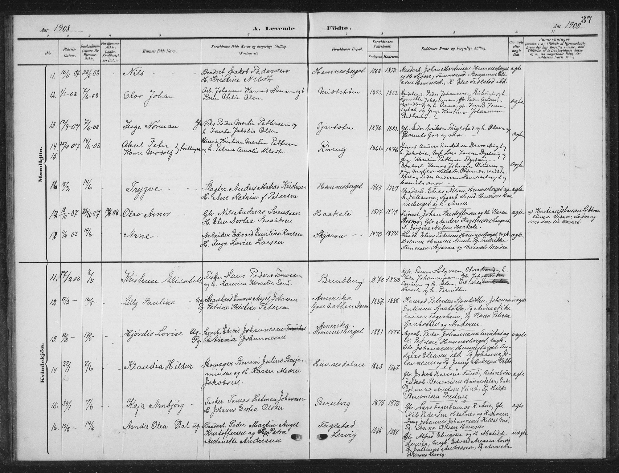 Ministerialprotokoller, klokkerbøker og fødselsregistre - Nordland, AV/SAT-A-1459/825/L0370: Parish register (copy) no. 825C07, 1903-1923, p. 37