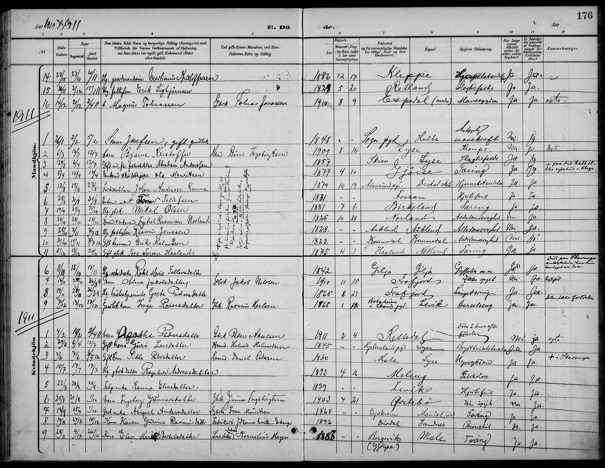 Høgsfjord sokneprestkontor, AV/SAST-A-101624/H/Ha/Haa/L0007: Parish register (official) no. A 7, 1898-1917, p. 176