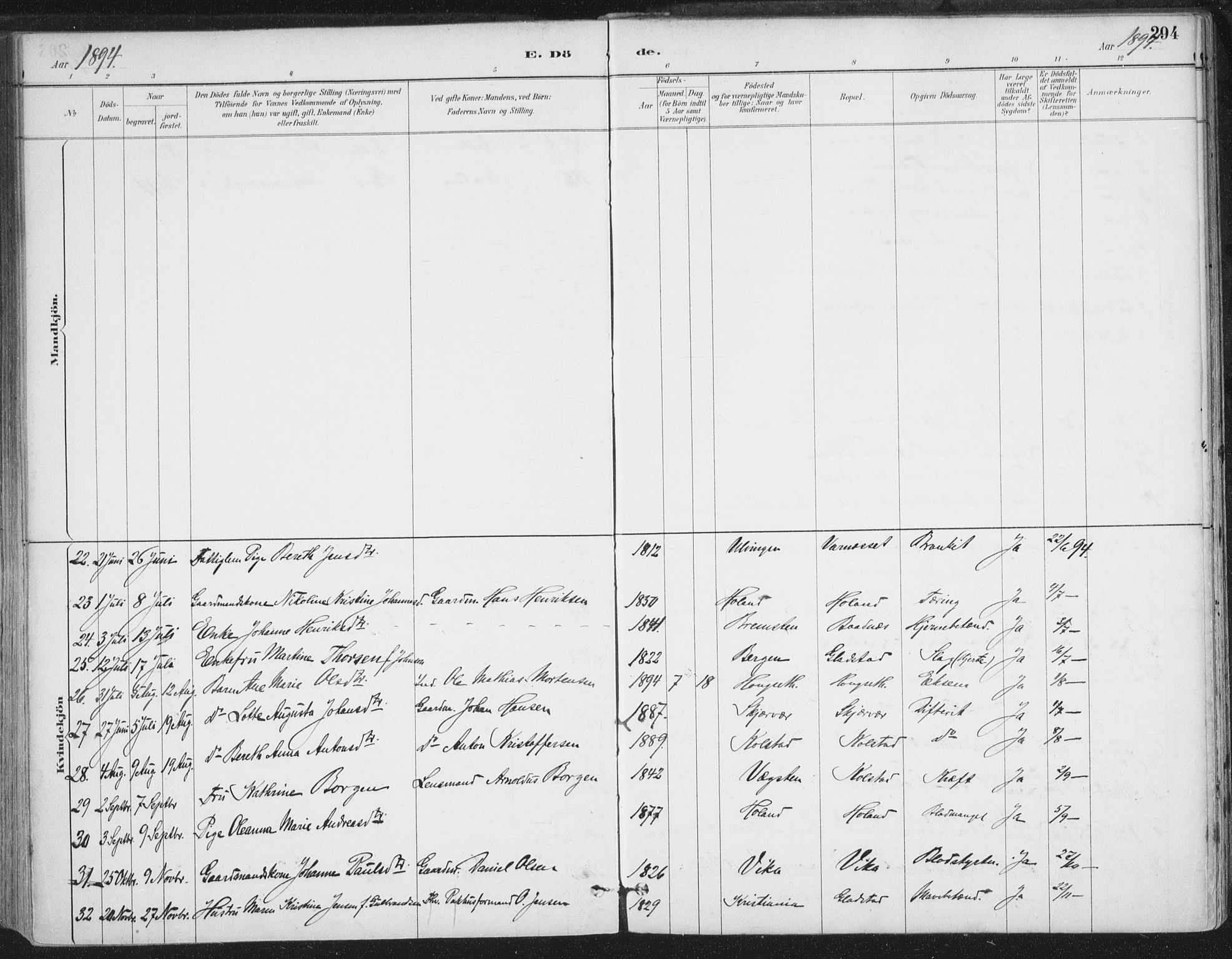 Ministerialprotokoller, klokkerbøker og fødselsregistre - Nordland, AV/SAT-A-1459/816/L0244: Parish register (official) no. 816A10, 1886-1903, p. 294