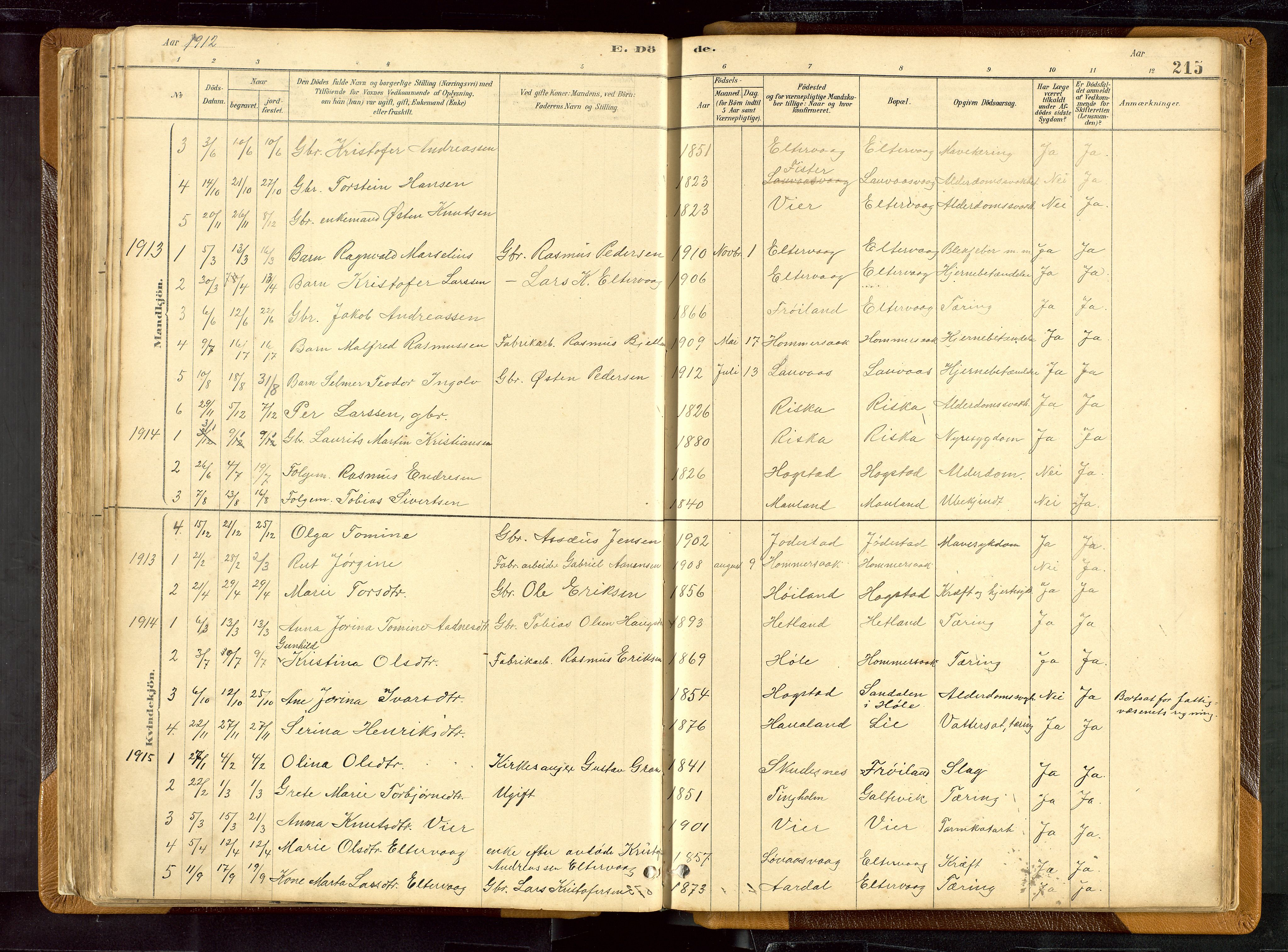 Hetland sokneprestkontor, SAST/A-101826/30/30BB/L0007: Parish register (copy) no. B 7, 1878-1910, p. 215