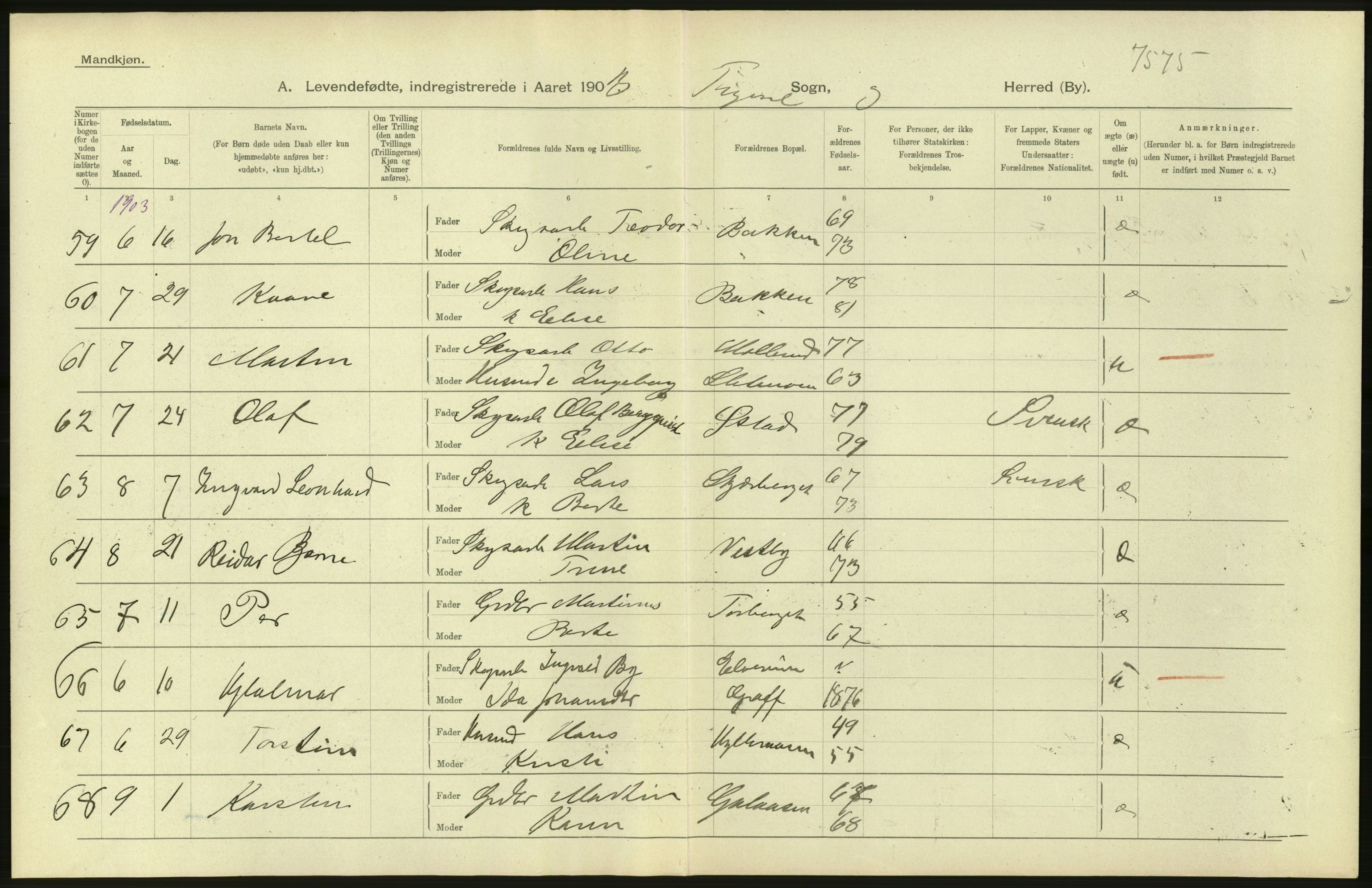 Statistisk sentralbyrå, Sosiodemografiske emner, Befolkning, AV/RA-S-2228/D/Df/Dfa/Dfaa/L0005: Hedemarkens amt: Fødte, gifte, døde, 1903, p. 14