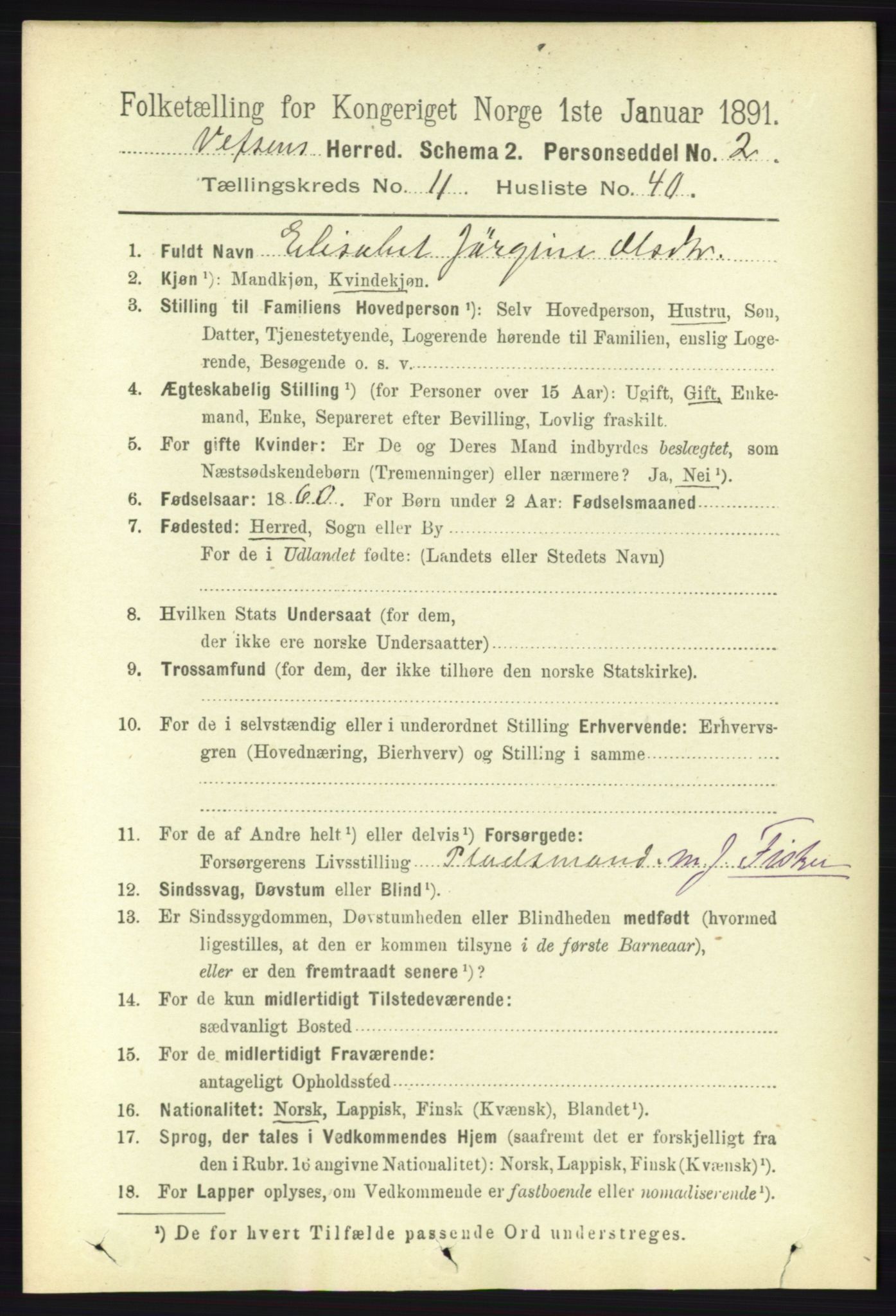 RA, 1891 census for 1824 Vefsn, 1891, p. 5895