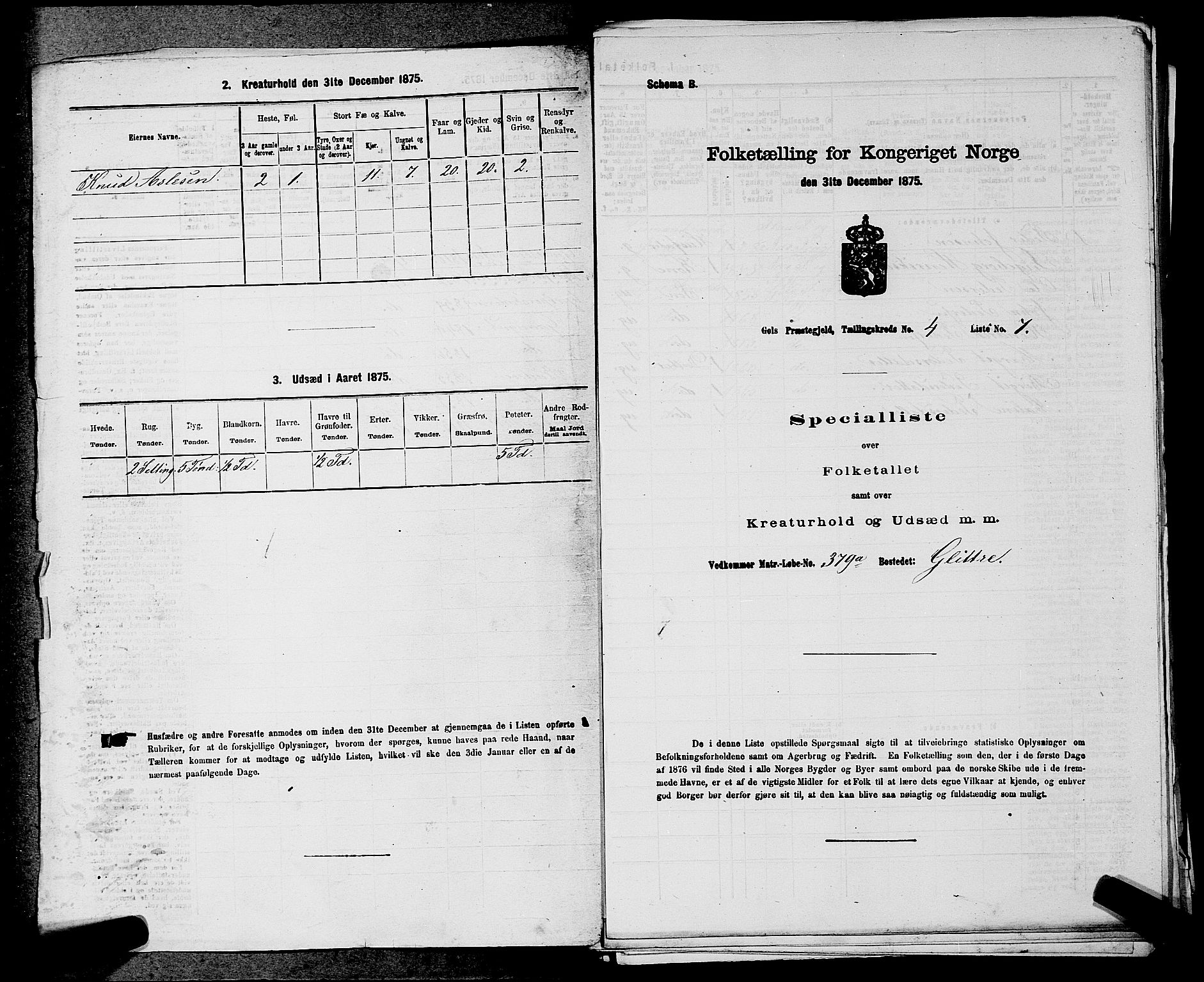 SAKO, 1875 census for 0617P Gol, 1875, p. 594