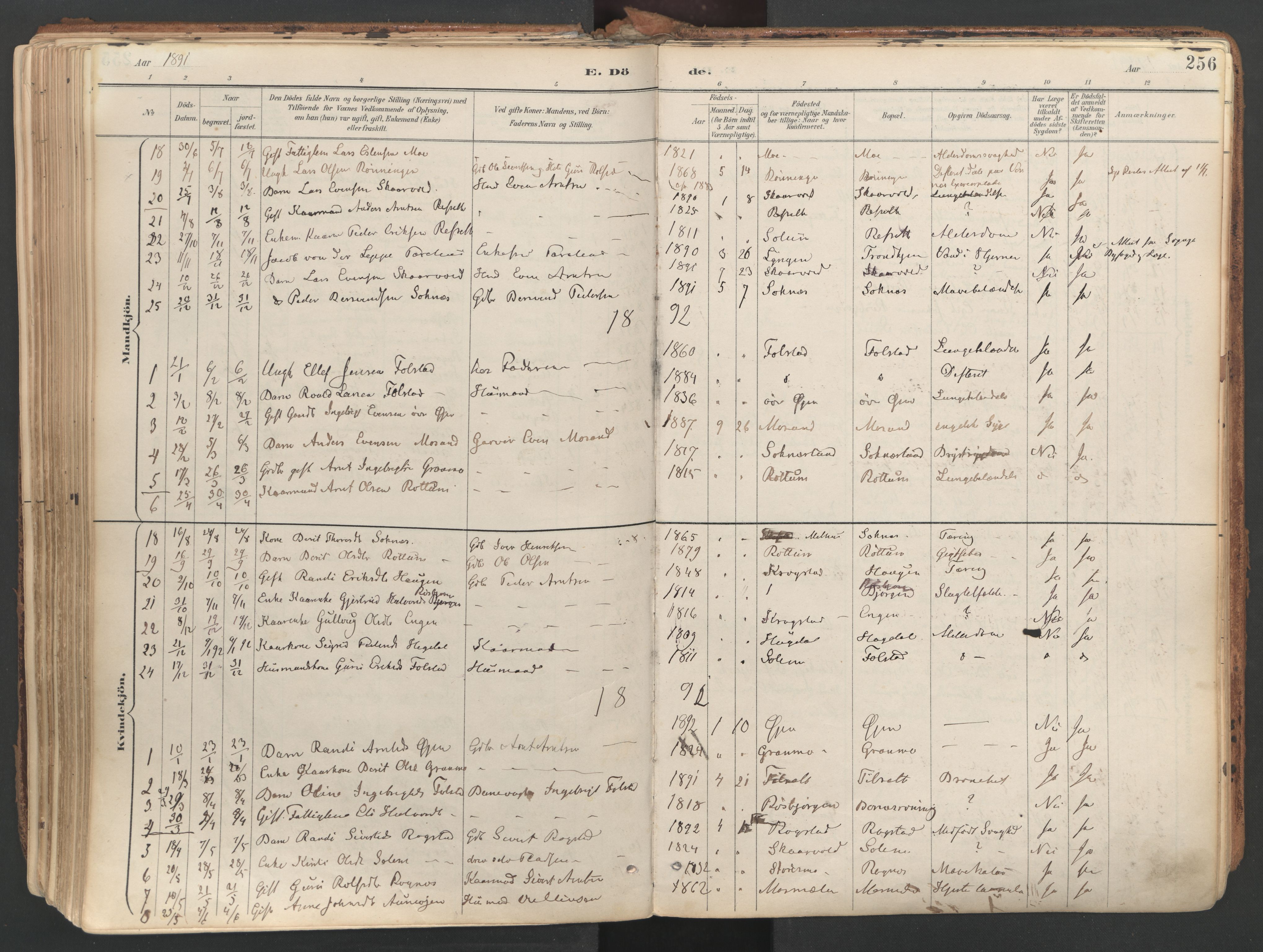 Ministerialprotokoller, klokkerbøker og fødselsregistre - Sør-Trøndelag, AV/SAT-A-1456/687/L1004: Parish register (official) no. 687A10, 1891-1923, p. 256