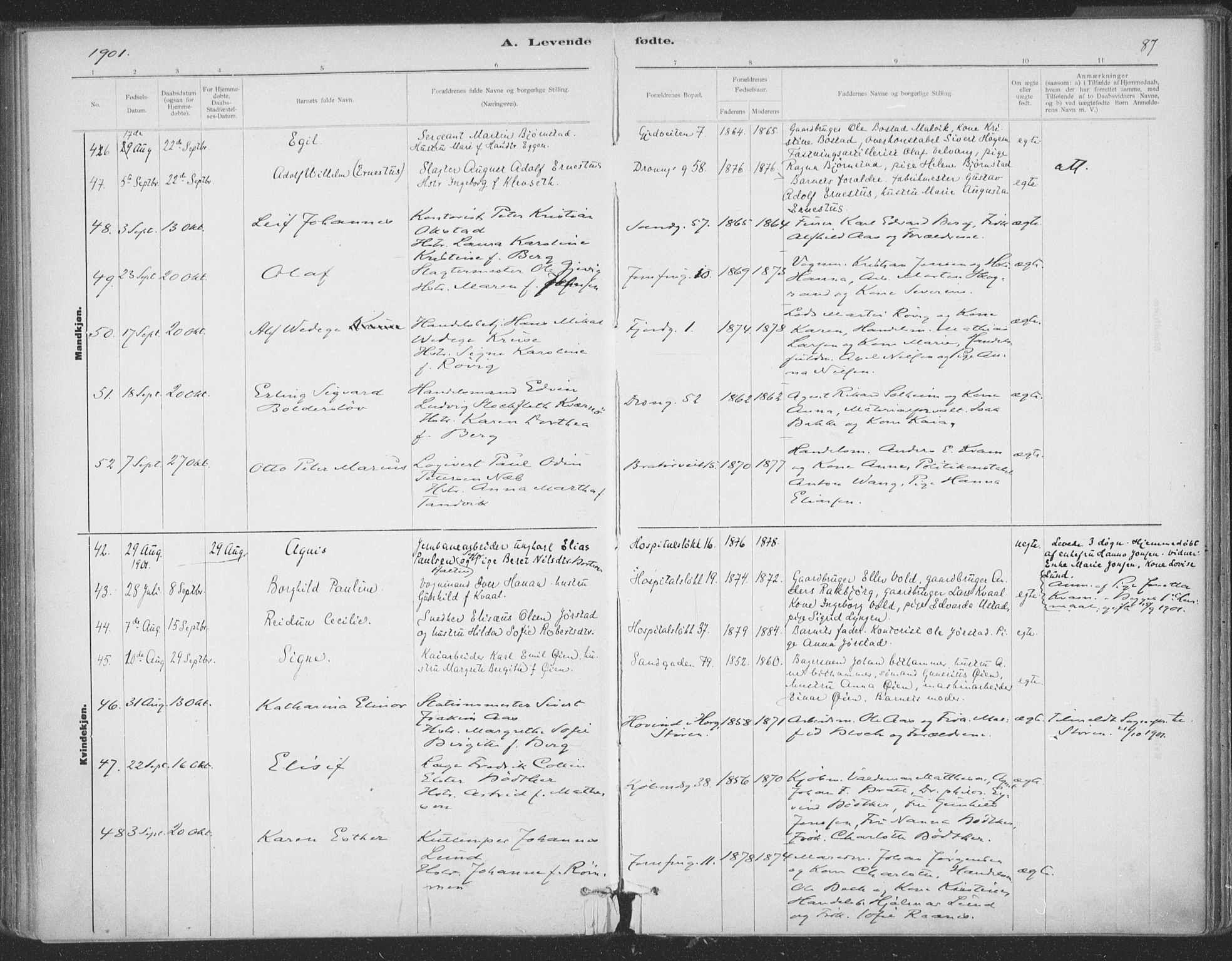 Ministerialprotokoller, klokkerbøker og fødselsregistre - Sør-Trøndelag, AV/SAT-A-1456/602/L0122: Parish register (official) no. 602A20, 1892-1908, p. 87