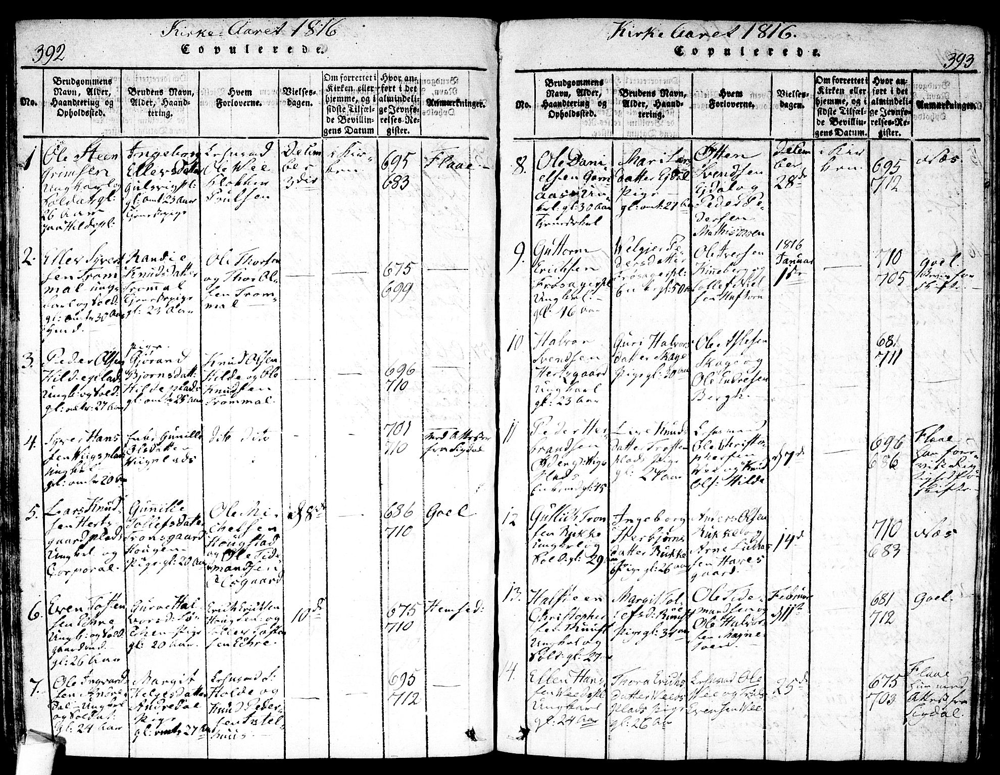 Nes kirkebøker, SAKO/A-236/F/Fa/L0007: Parish register (official) no. 7, 1815-1823, p. 392-393