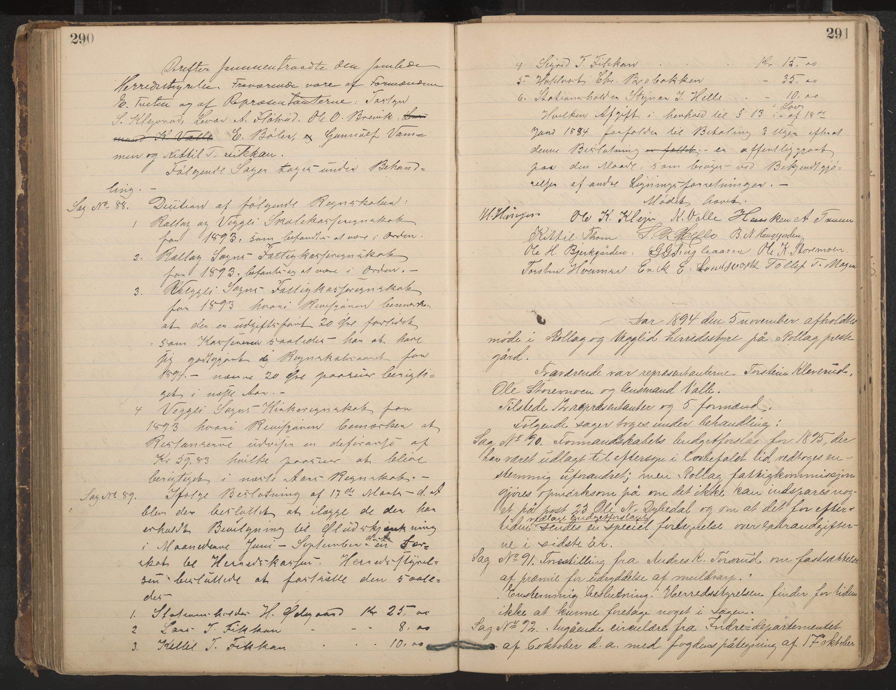 Rollag formannskap og sentraladministrasjon, IKAK/0632021-2/A/Aa/L0003: Møtebok, 1884-1897, p. 290-291