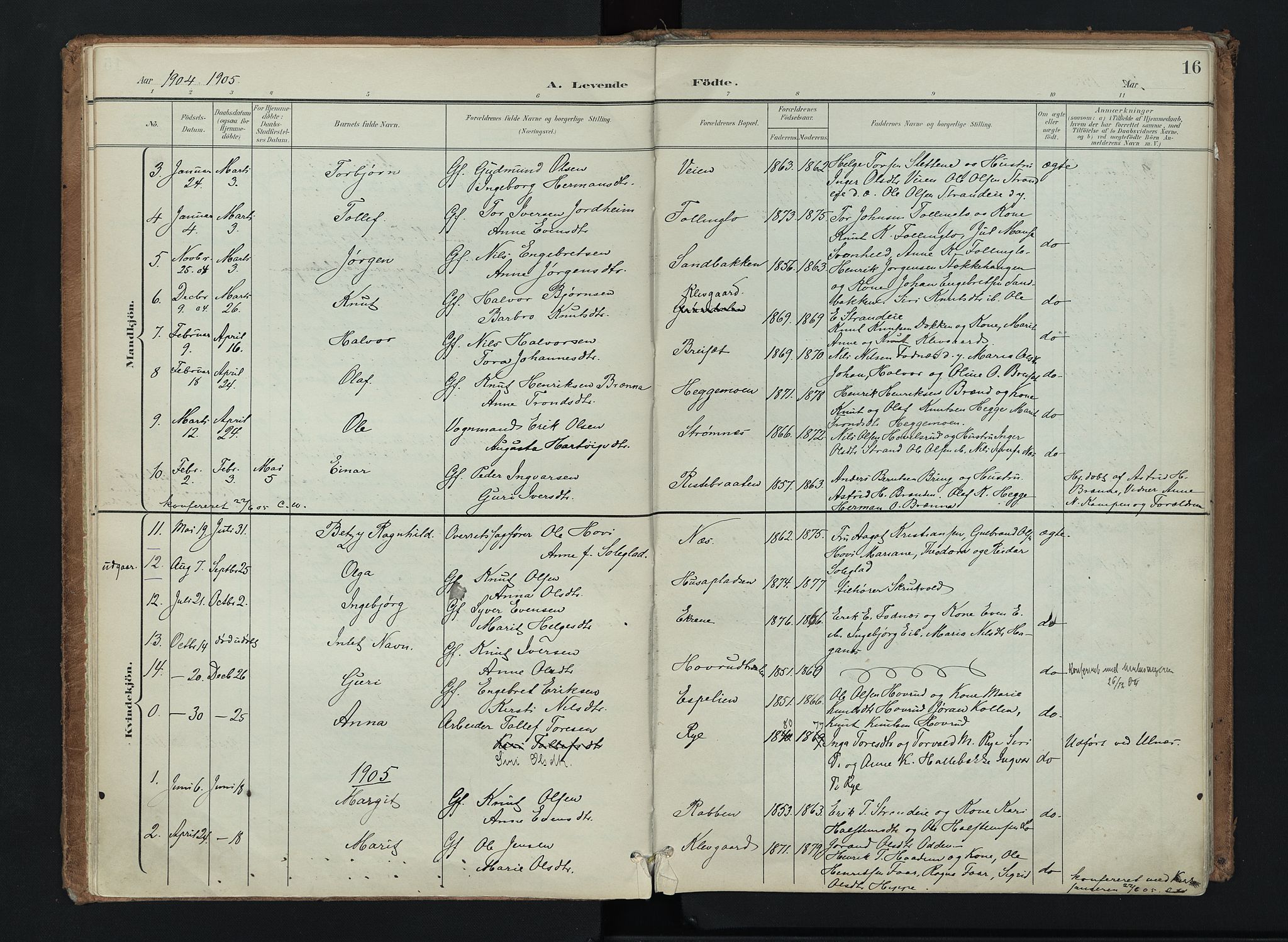 Nord-Aurdal prestekontor, SAH/PREST-132/H/Ha/Haa/L0016: Parish register (official) no. 16, 1897-1925, p. 16