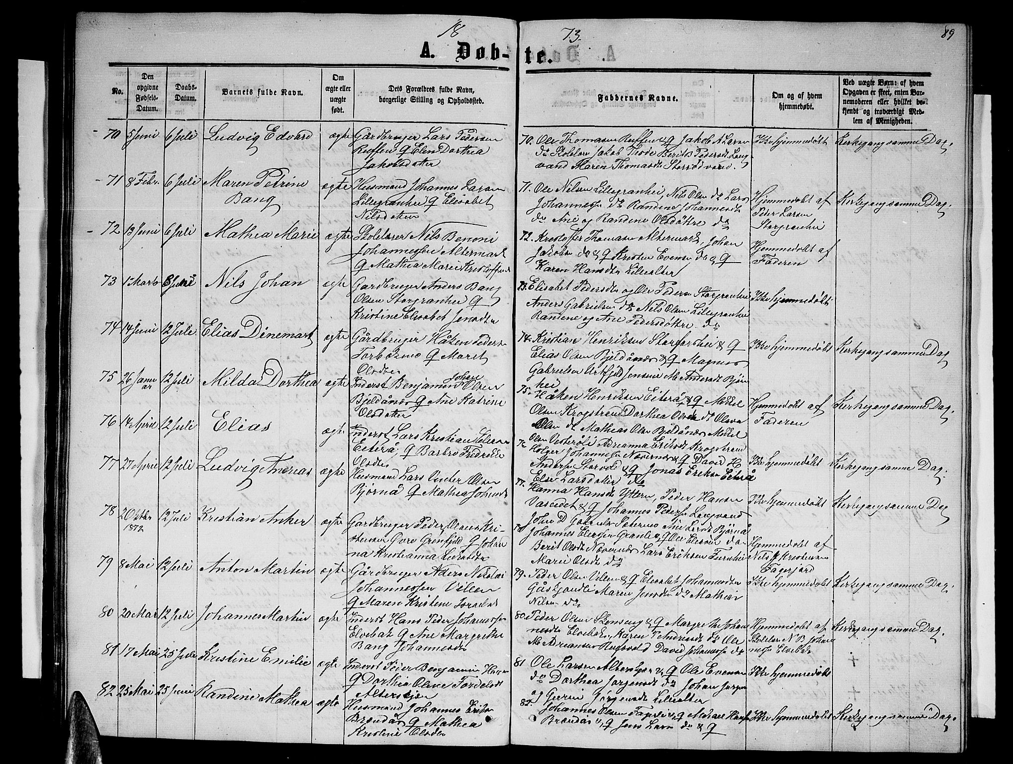 Ministerialprotokoller, klokkerbøker og fødselsregistre - Nordland, AV/SAT-A-1459/827/L0415: Parish register (copy) no. 827C04, 1864-1886, p. 89