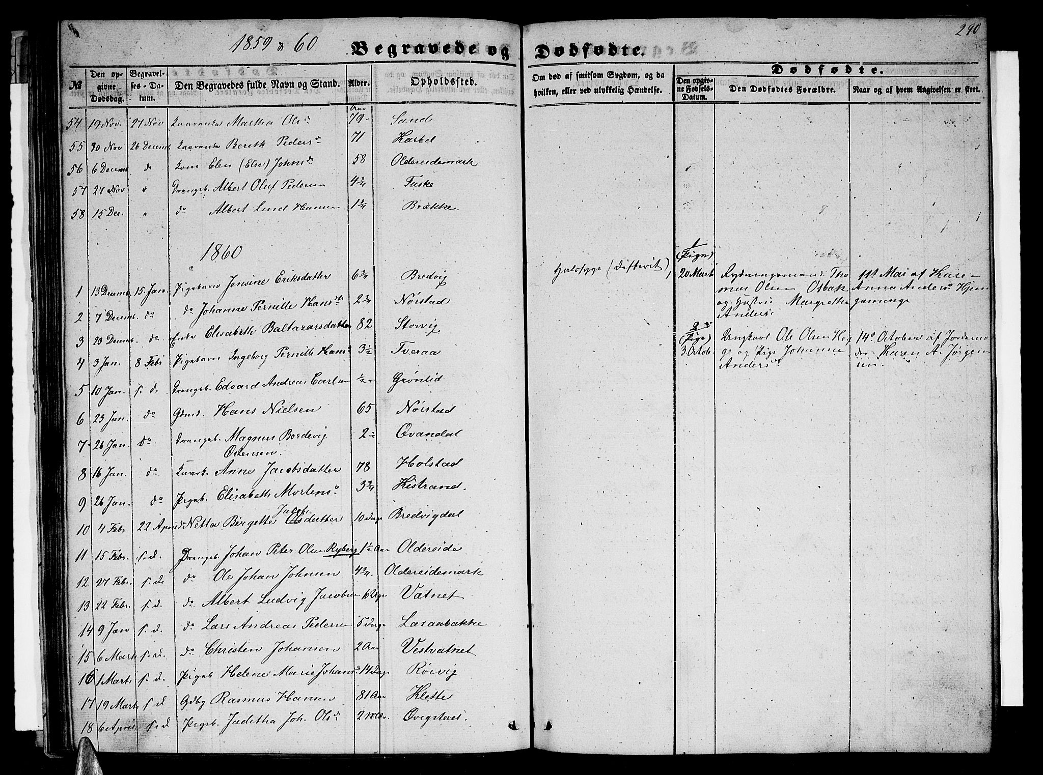 Ministerialprotokoller, klokkerbøker og fødselsregistre - Nordland, AV/SAT-A-1459/852/L0753: Parish register (copy) no. 852C04, 1856-1877, p. 290