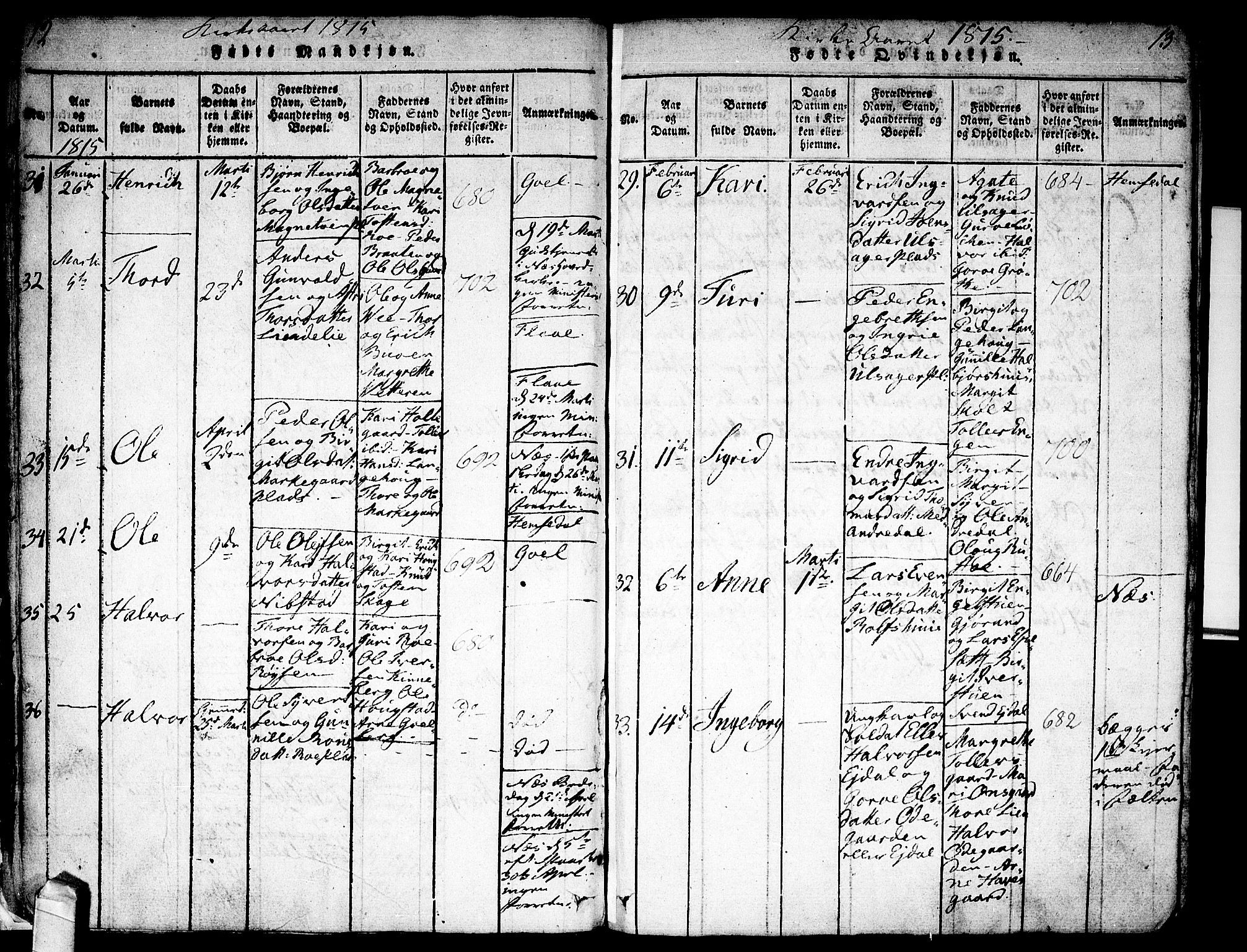 Nes kirkebøker, AV/SAKO-A-236/F/Fa/L0007: Parish register (official) no. 7, 1815-1823, p. 12-13