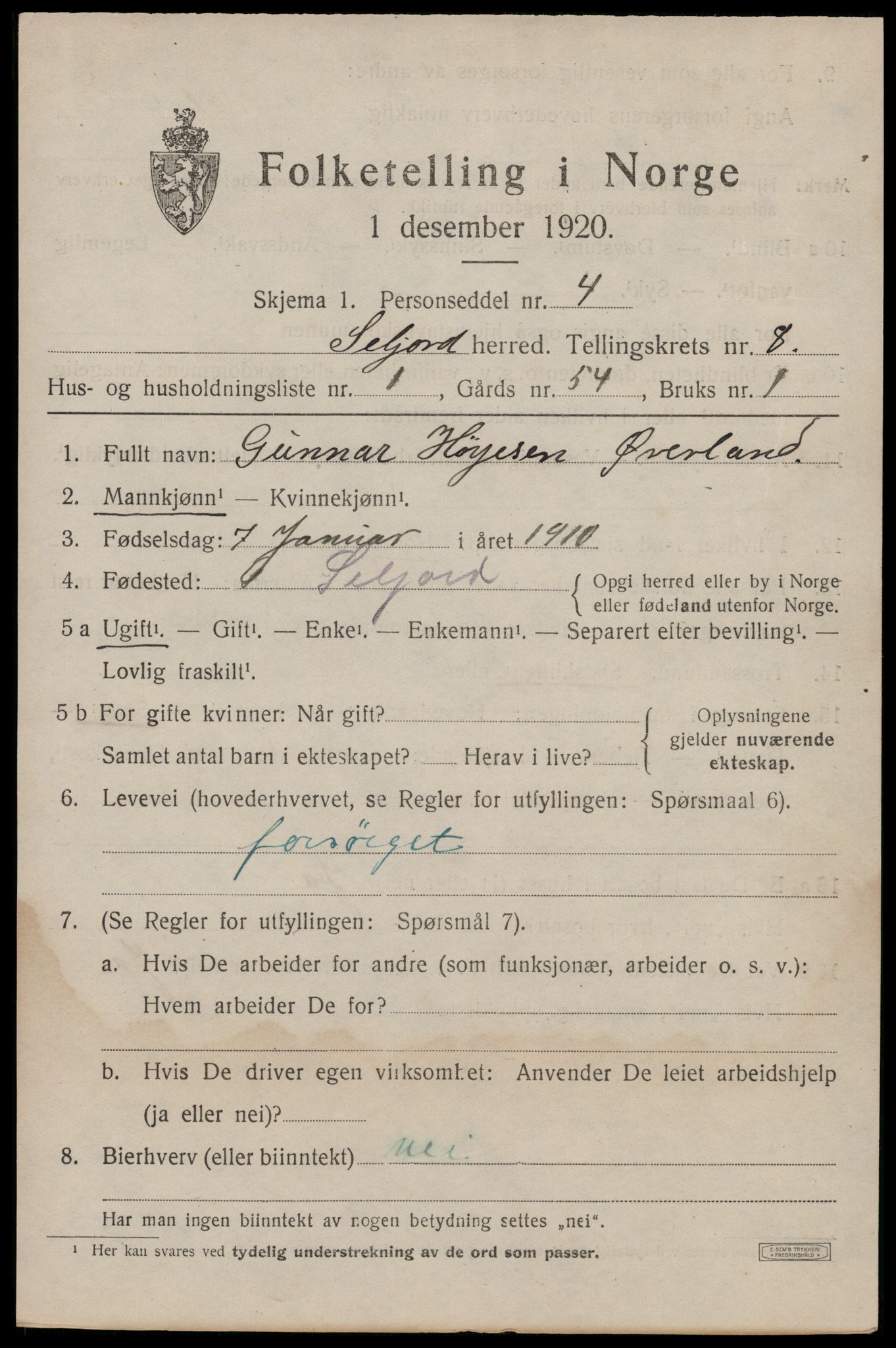 SAKO, 1920 census for Seljord, 1920, p. 3902