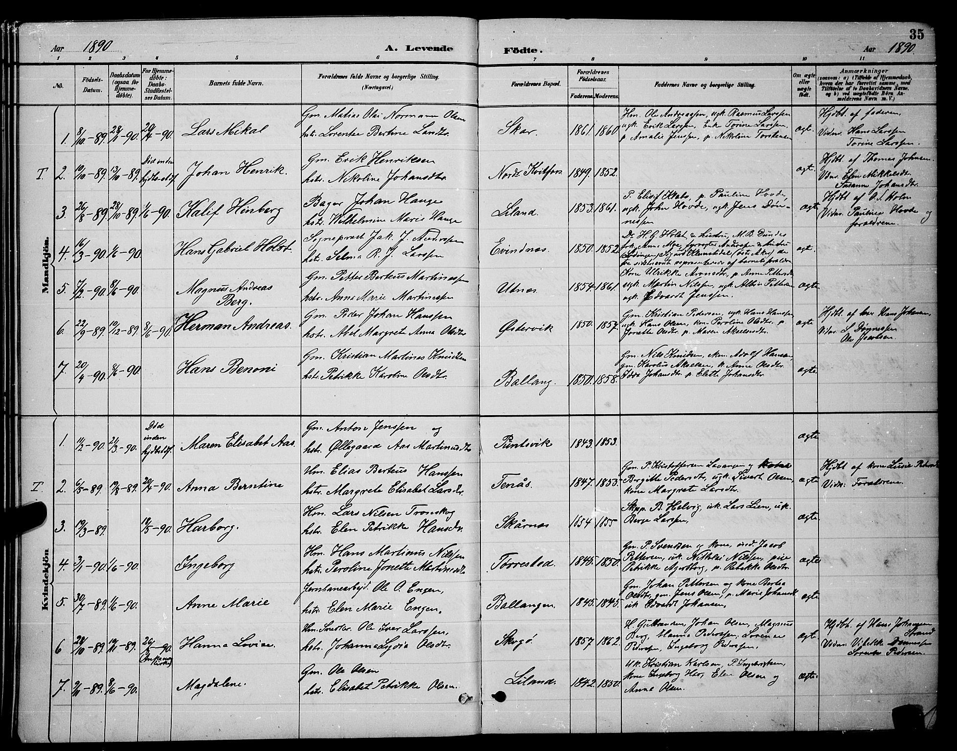 Ministerialprotokoller, klokkerbøker og fødselsregistre - Nordland, SAT/A-1459/863/L0914: Parish register (copy) no. 863C04, 1886-1897, p. 35
