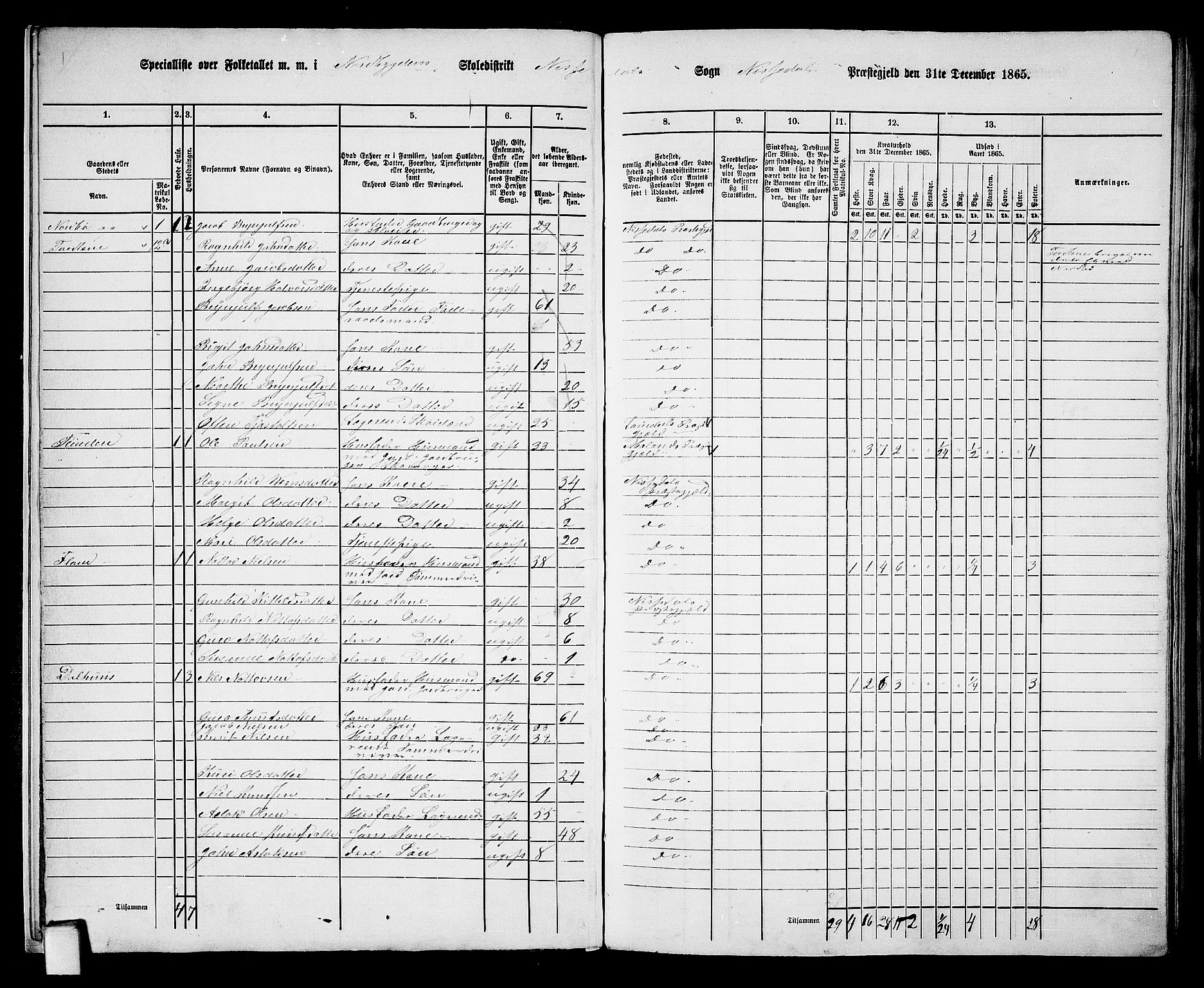 RA, 1865 census for Nissedal, 1865, p. 11