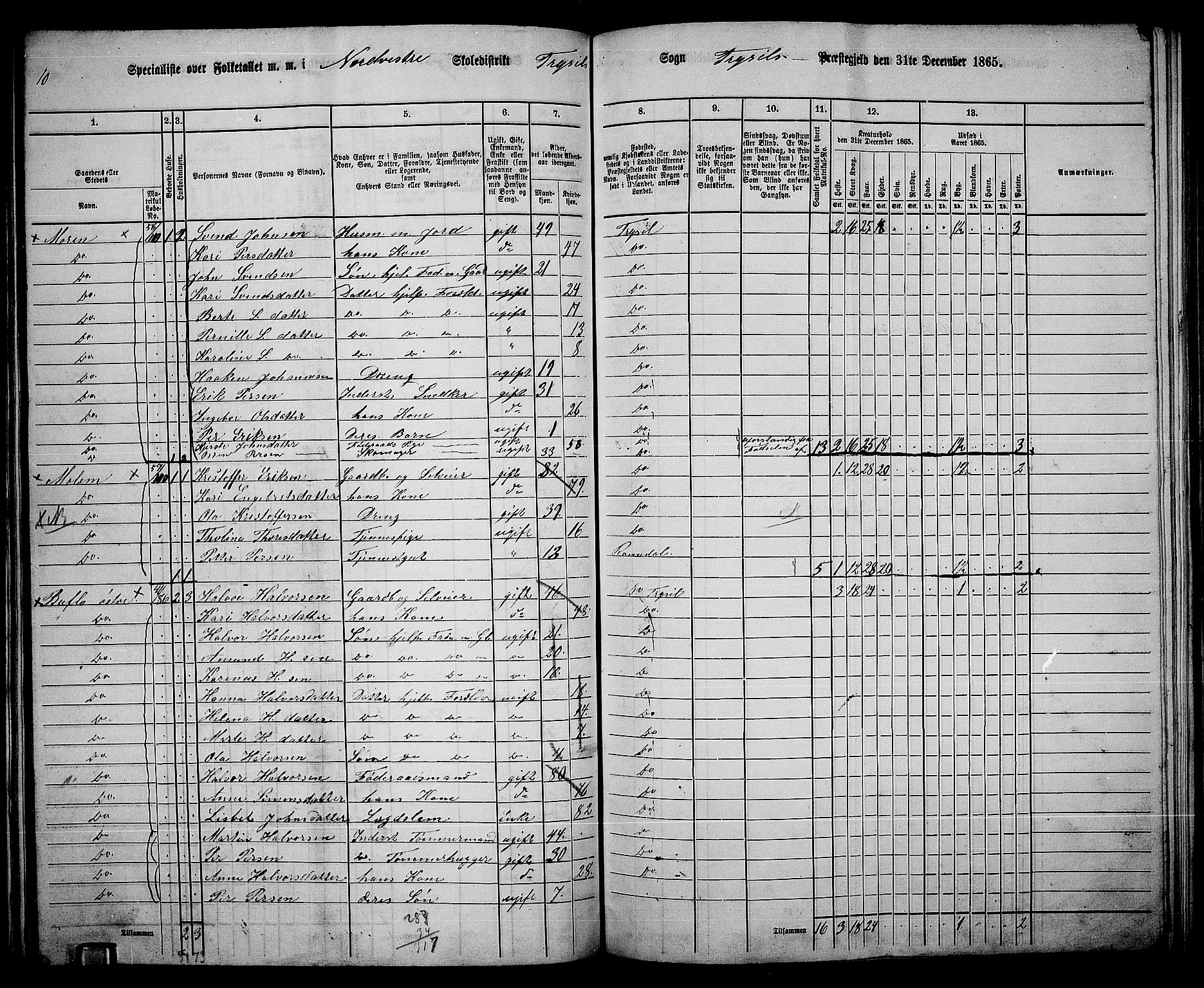 RA, 1865 census for Trysil, 1865, p. 69