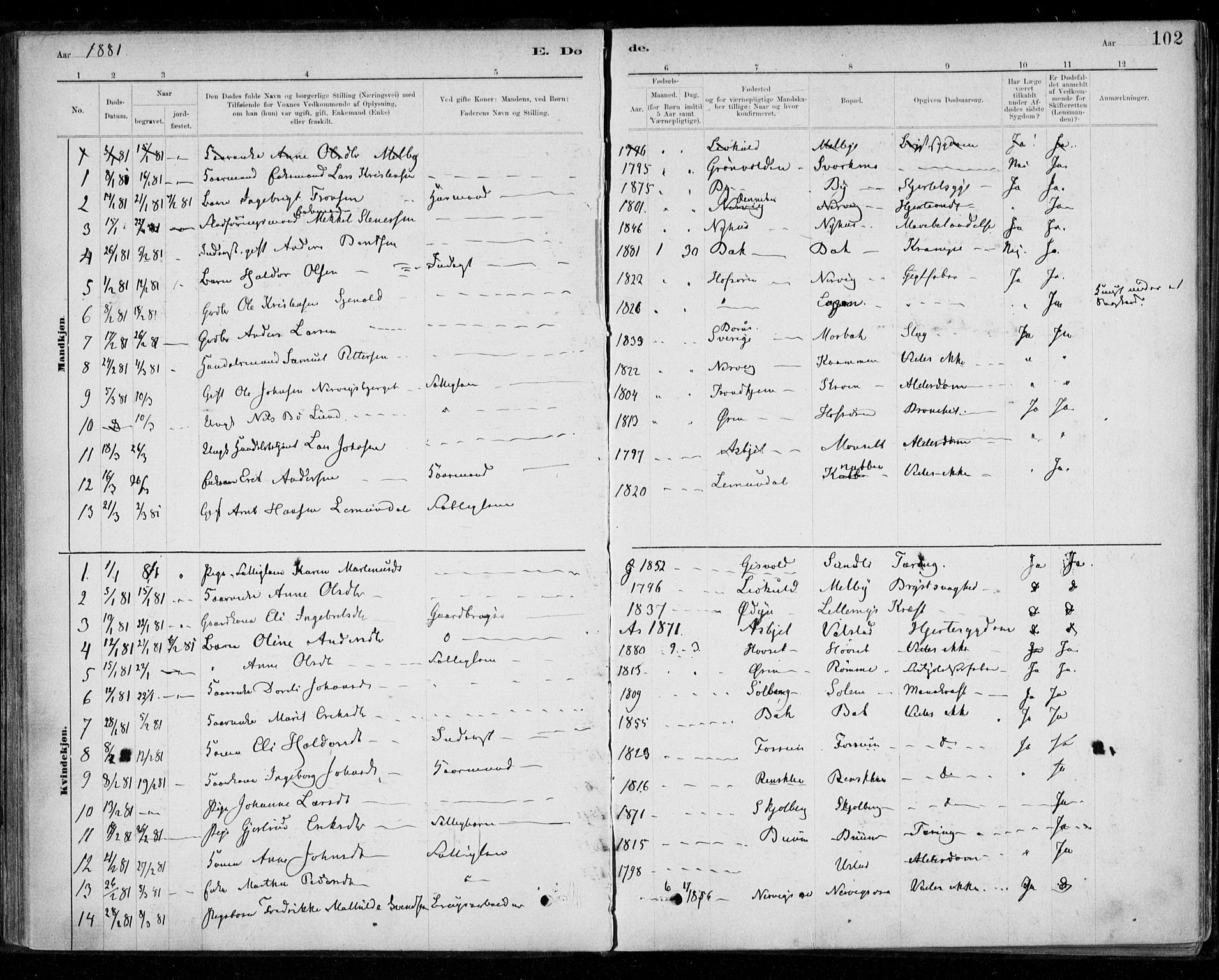 Ministerialprotokoller, klokkerbøker og fødselsregistre - Sør-Trøndelag, AV/SAT-A-1456/668/L0810: Parish register (official) no. 668A10, 1881-1894, p. 102
