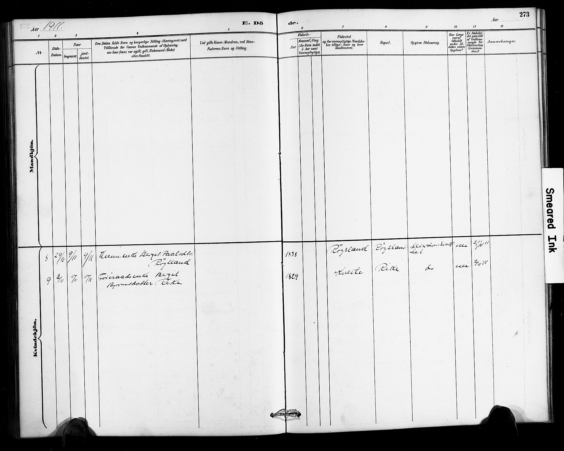 Valle sokneprestkontor, AV/SAK-1111-0044/F/Fb/Fbc/L0004: Parish register (copy) no. B 4, 1890-1928, p. 273