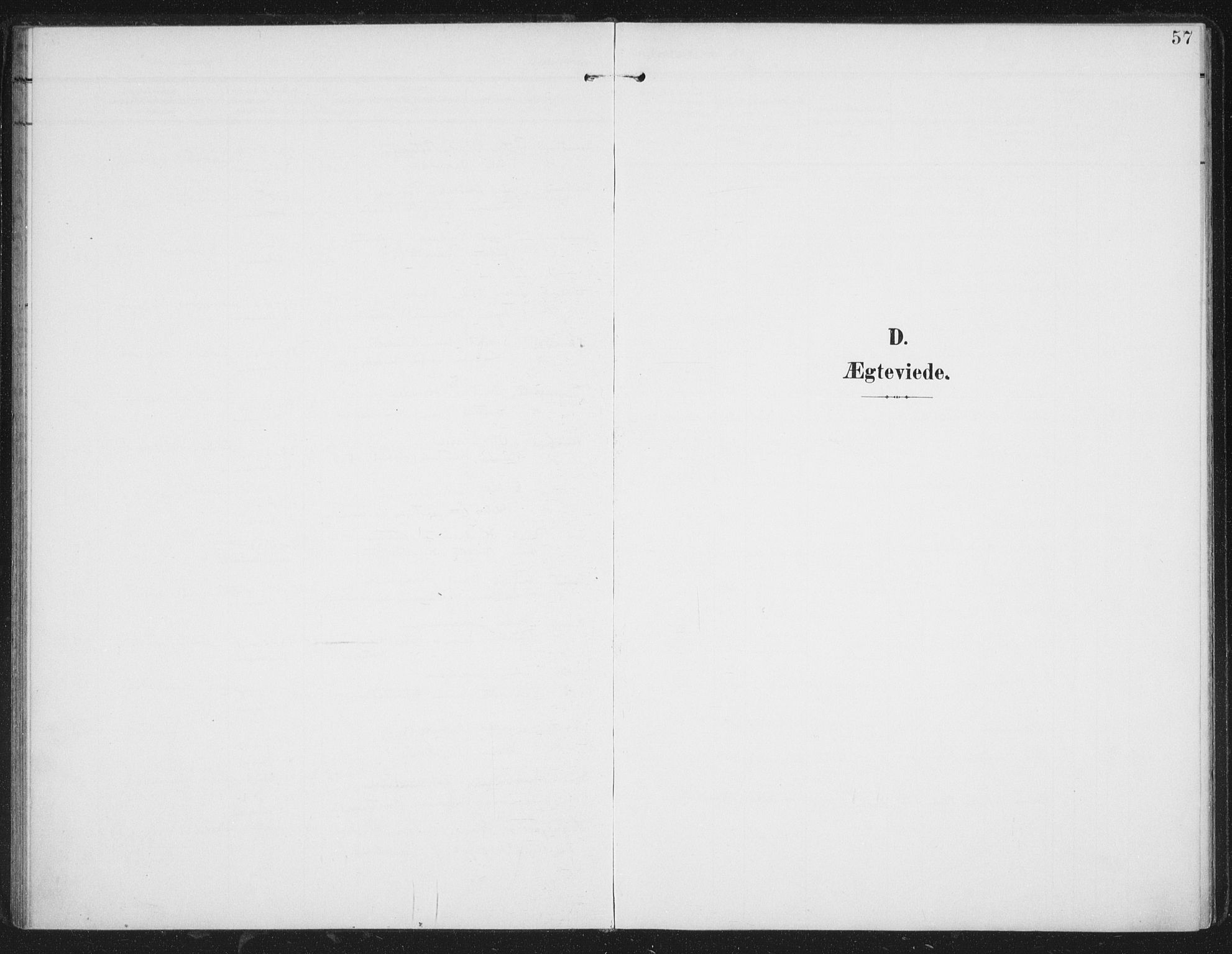 Ministerialprotokoller, klokkerbøker og fødselsregistre - Nordland, AV/SAT-A-1459/827/L0403: Parish register (official) no. 827A15, 1903-1912, p. 57