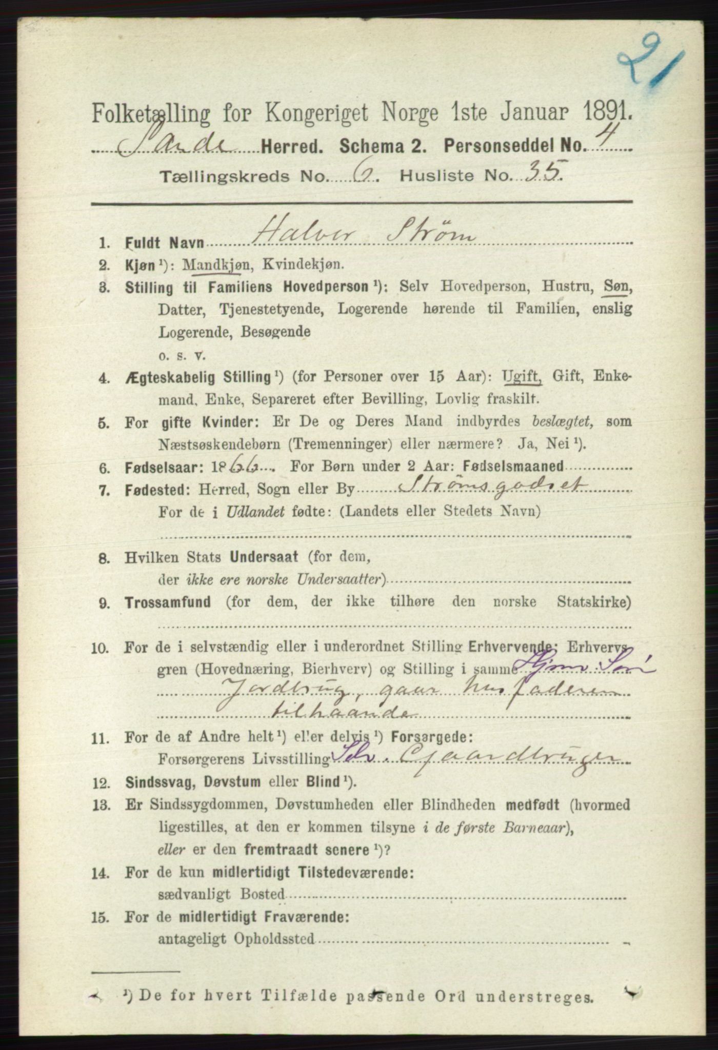 RA, 1891 census for 0713 Sande, 1891, p. 2884