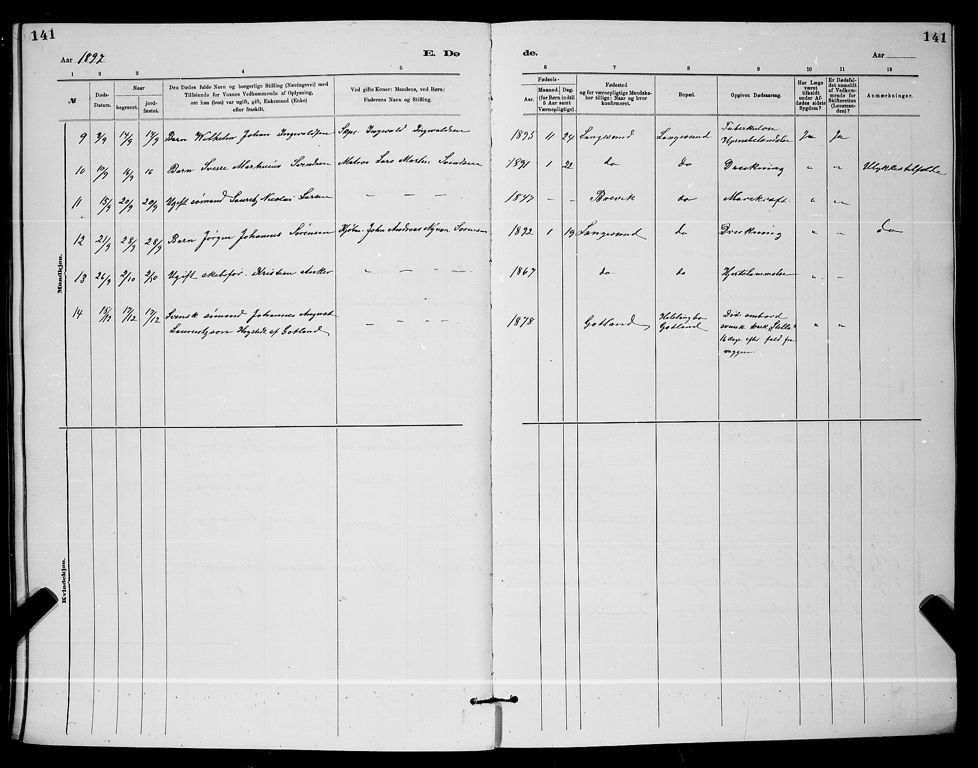 Langesund kirkebøker, AV/SAKO-A-280/G/Ga/L0005: Parish register (copy) no. 5, 1884-1898, p. 141