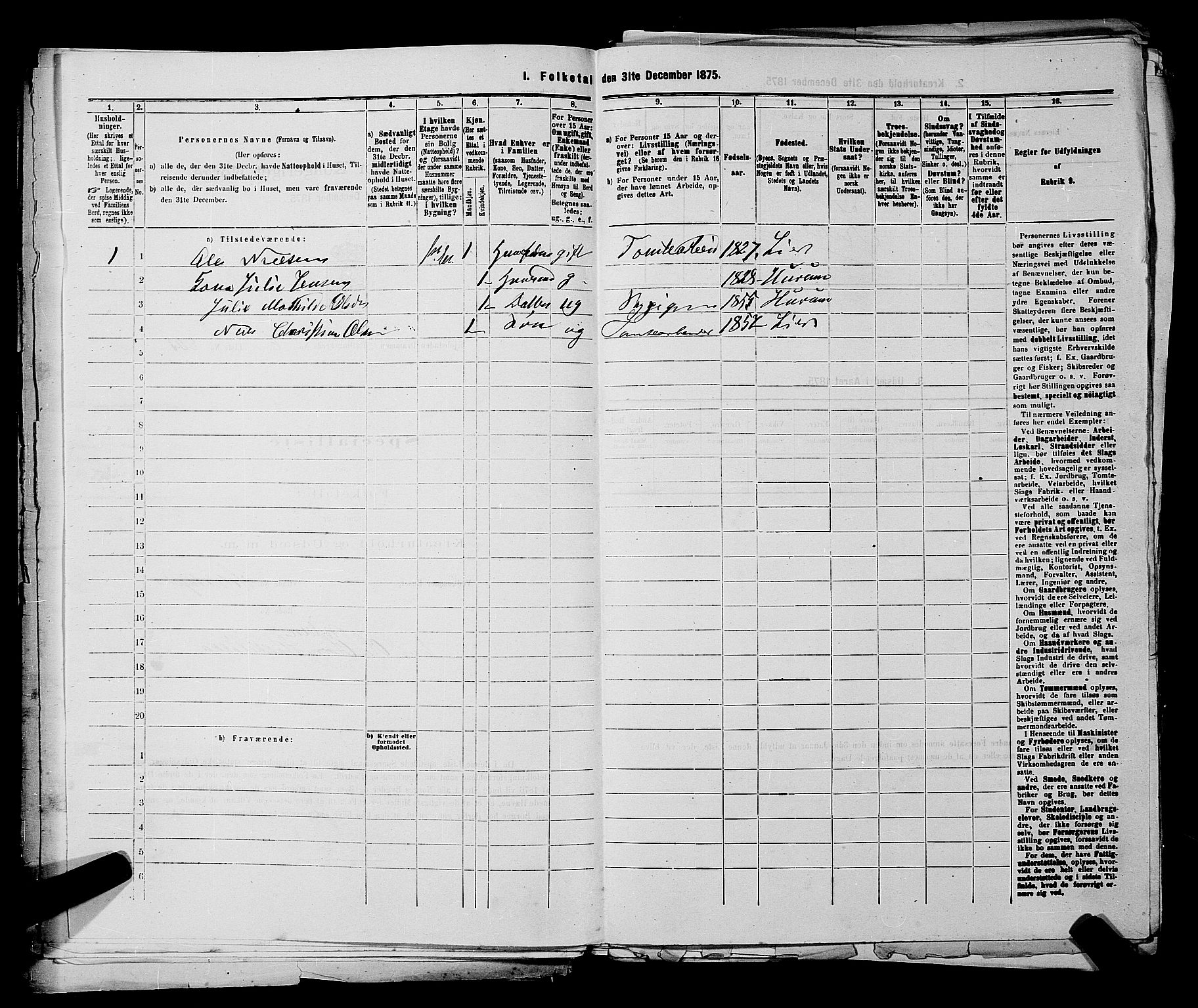 SAKO, 1875 census for 0602 Drammen, 1875, p. 536