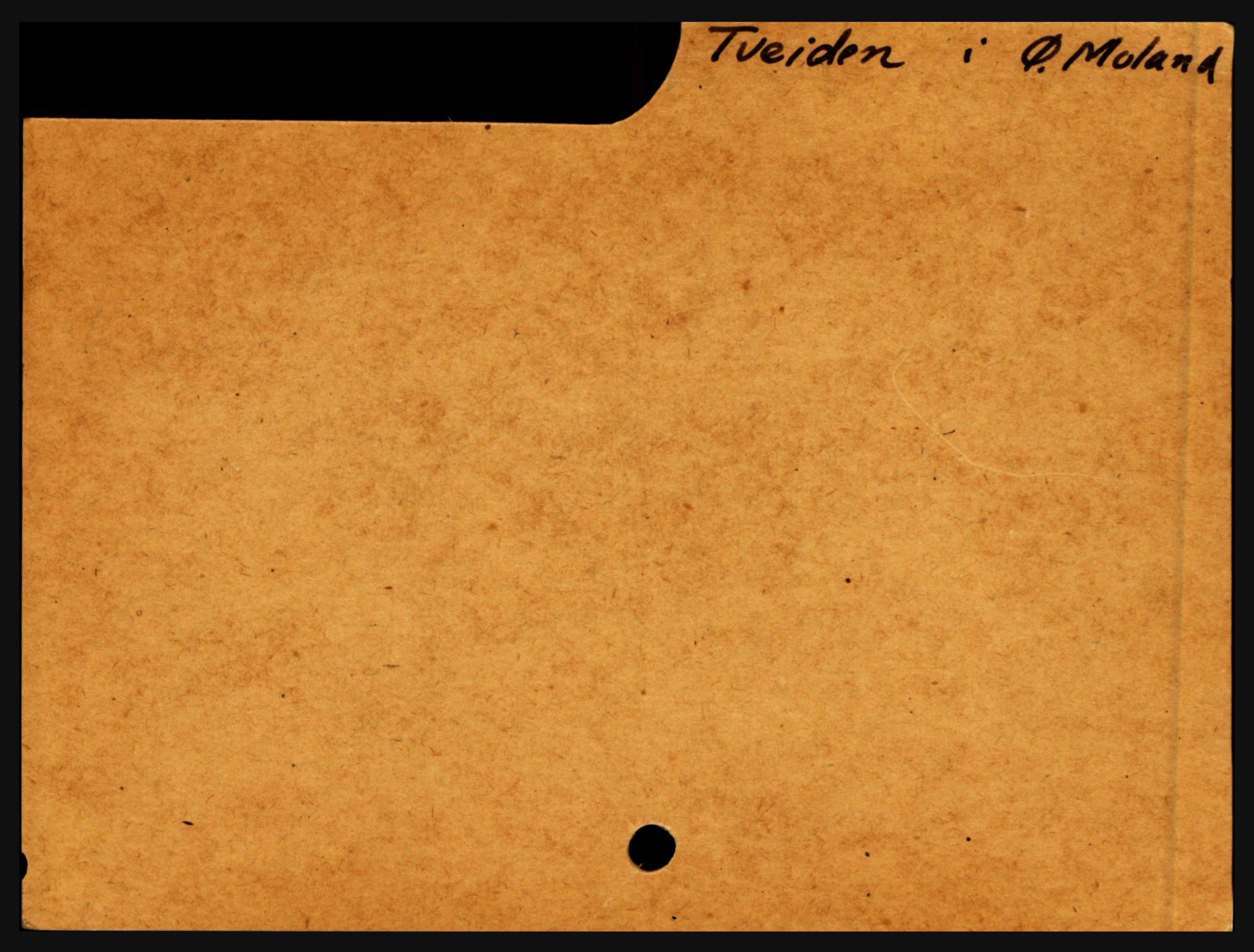 Nedenes sorenskriveri før 1824, SAK/1221-0007/H, p. 31499