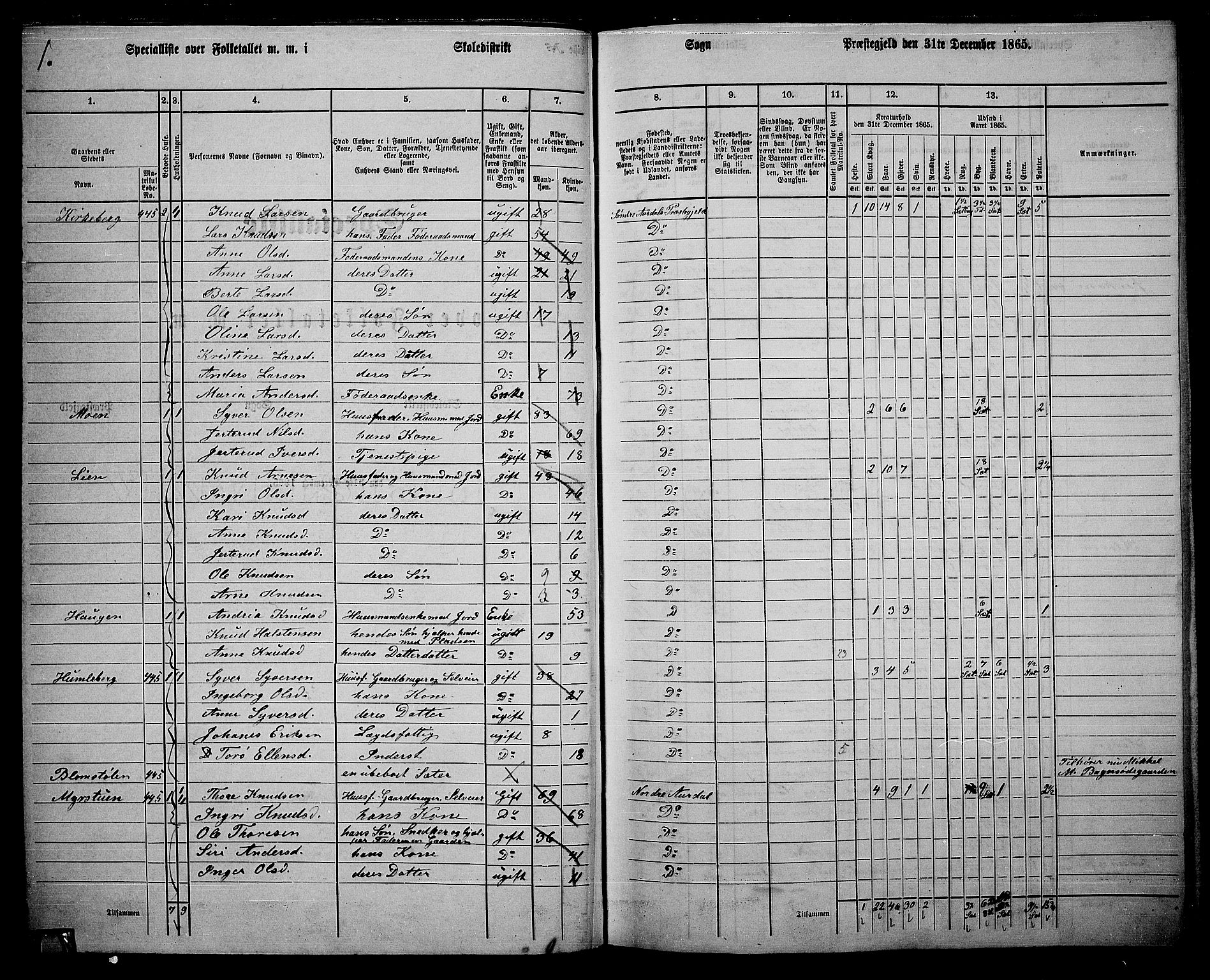 RA, 1865 census for Sør-Aurdal, 1865, p. 68