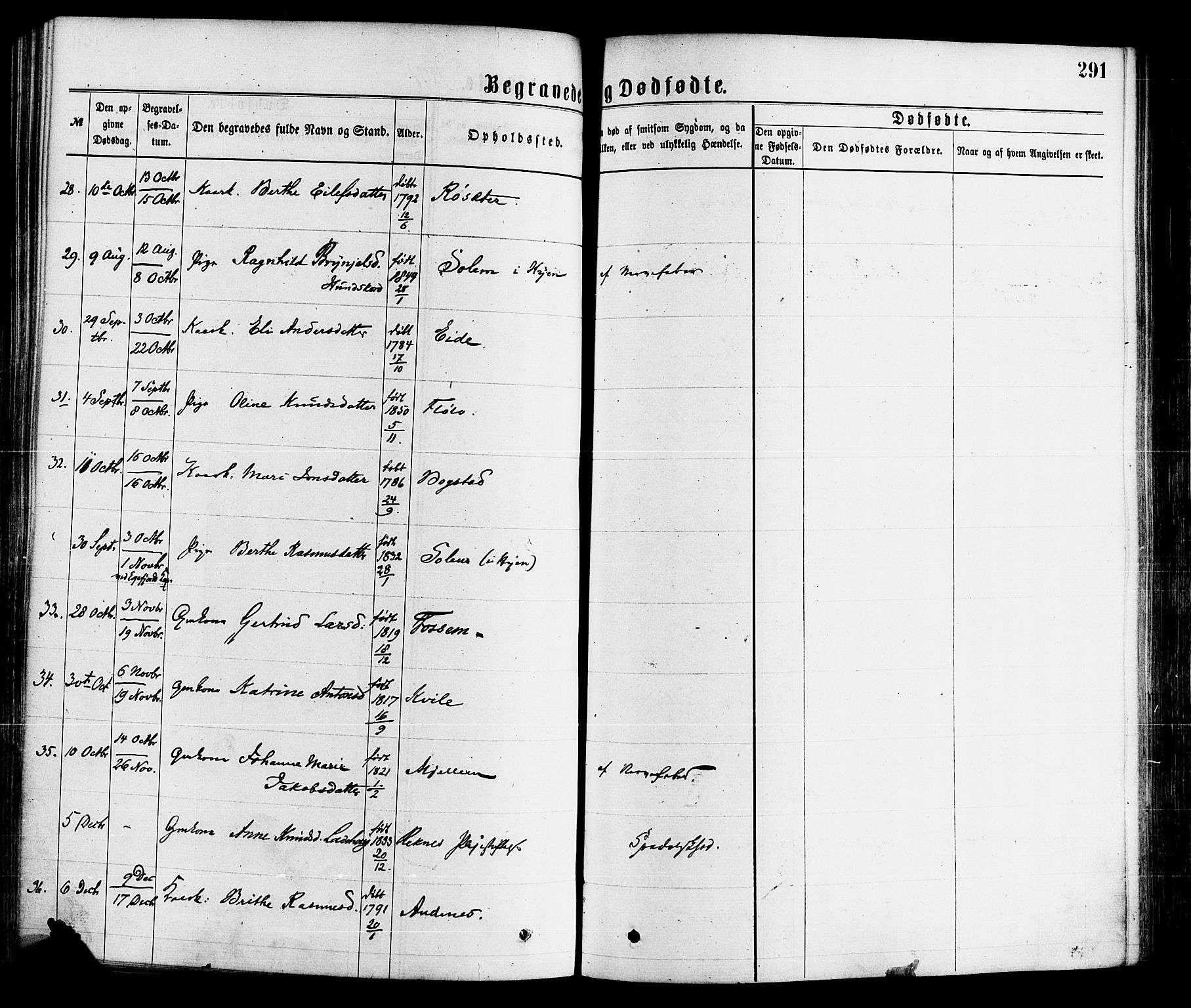 Gloppen sokneprestembete, SAB/A-80101/H/Haa/Haaa/L0010: Parish register (official) no. A 10, 1871-1884, p. 291