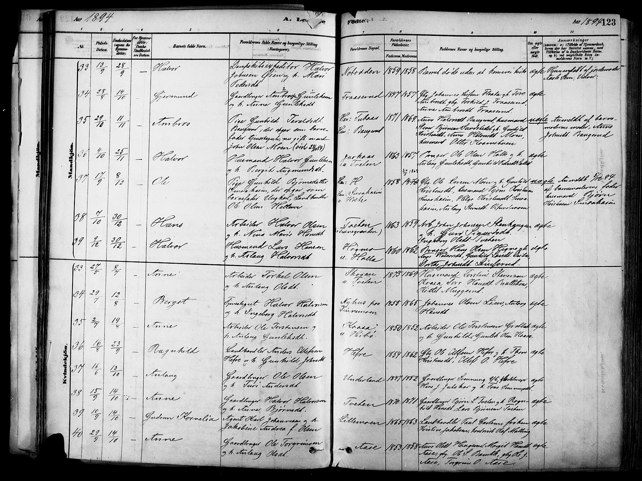 Heddal kirkebøker, SAKO/A-268/F/Fa/L0008: Parish register (official) no. I 8, 1878-1903, p. 123