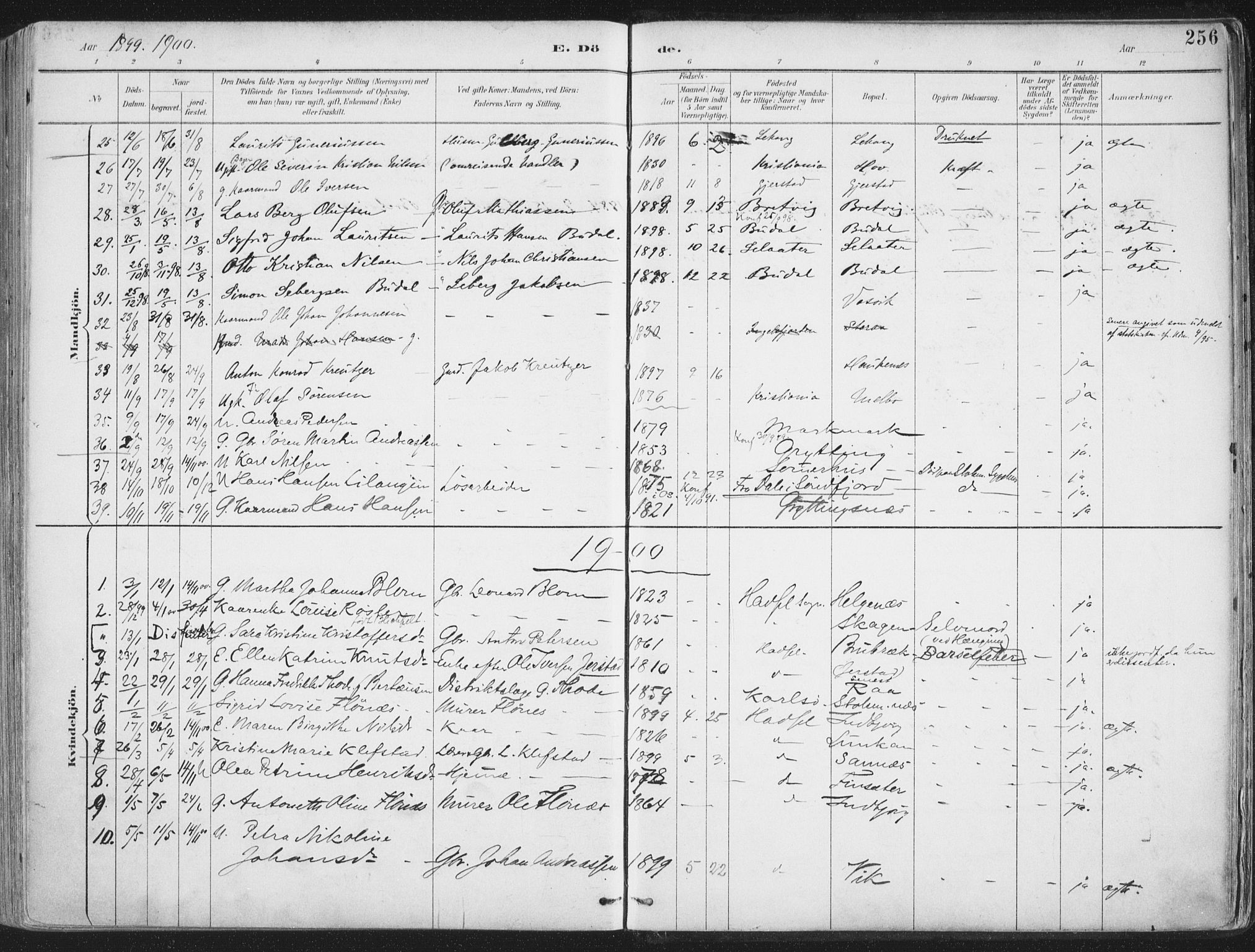 Ministerialprotokoller, klokkerbøker og fødselsregistre - Nordland, SAT/A-1459/888/L1246: Parish register (official) no. 888A12, 1891-1903, p. 256