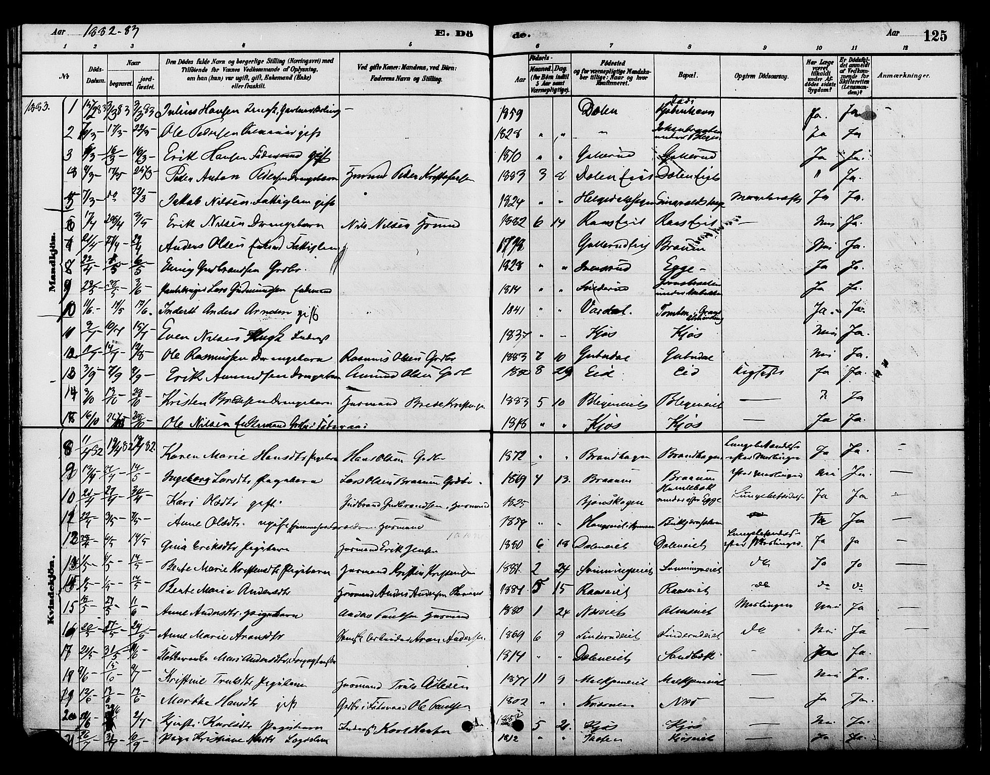 Gran prestekontor, SAH/PREST-112/H/Ha/Haa/L0015: Parish register (official) no. 15, 1880-1888, p. 125