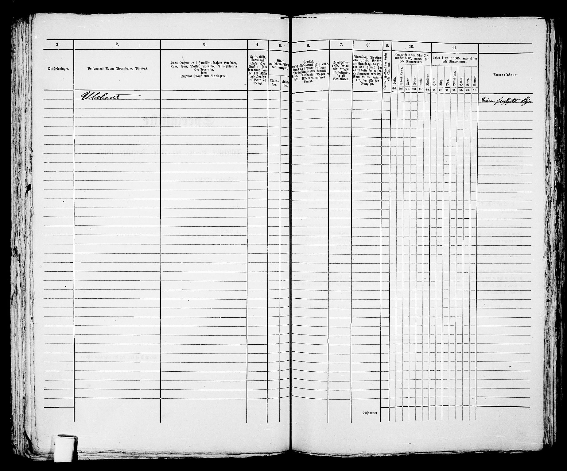 RA, 1865 census for Skien, 1865, p. 529