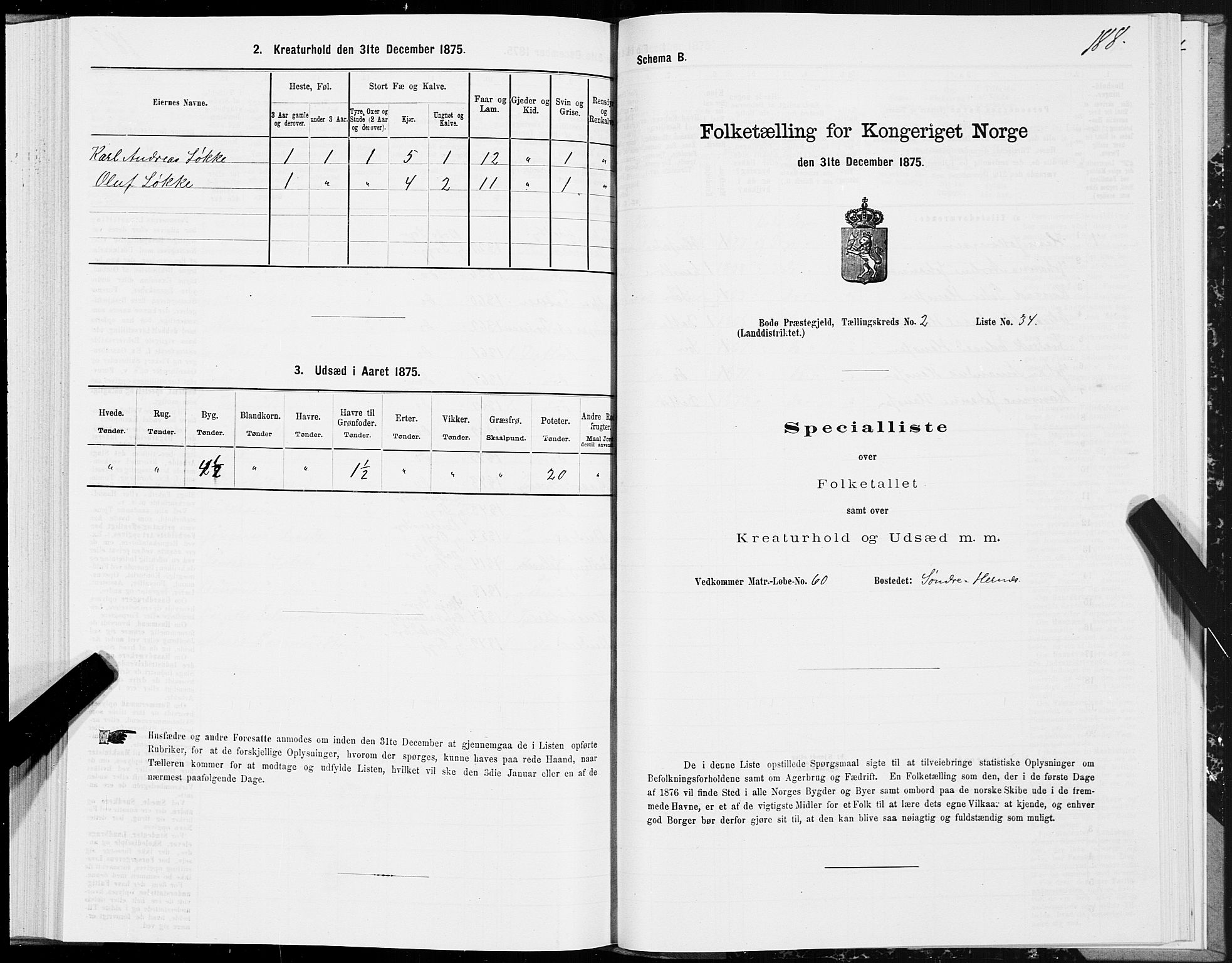 SAT, 1875 census for 1843L Bodø/Bodø, 1875, p. 1188