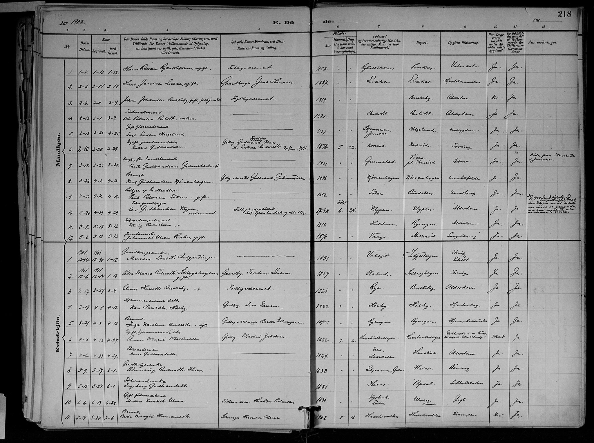 Jevnaker prestekontor, SAH/PREST-116/H/Ha/Haa/L0010: Parish register (official) no. 10, 1891-1906, p. 218