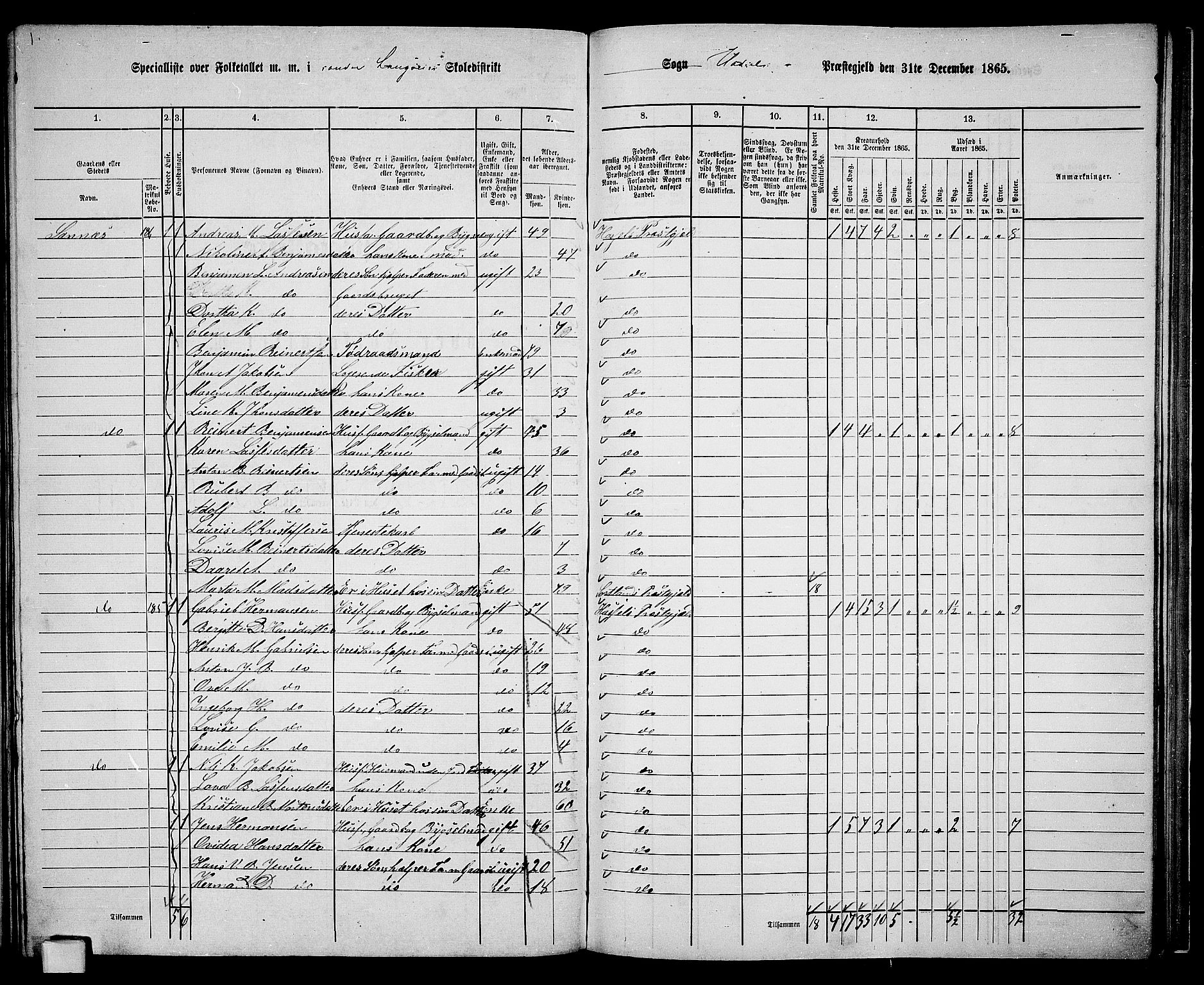 RA, 1865 census for Hadsel, 1865, p. 143