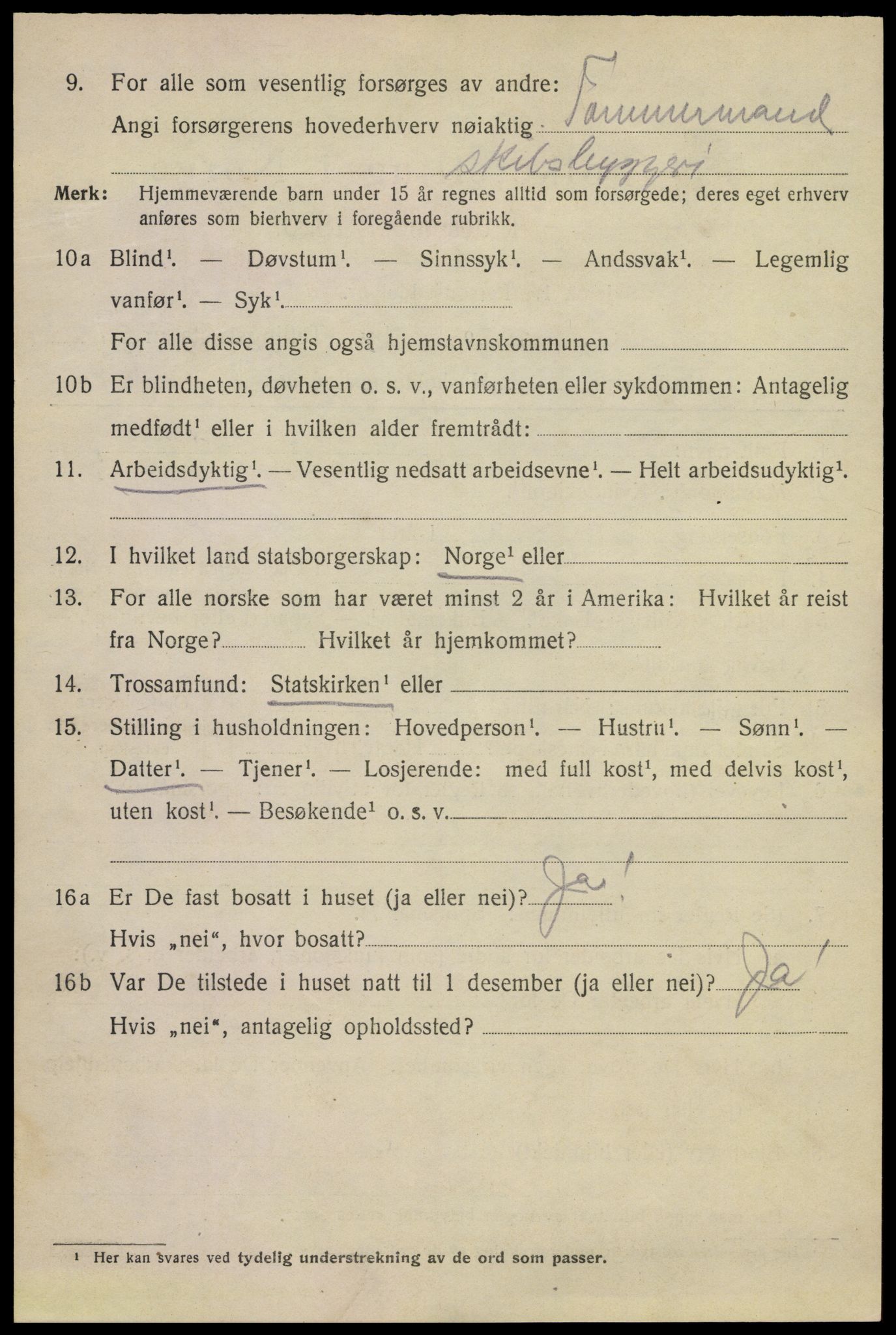 SAKO, 1920 census for Kragerø, 1920, p. 12026