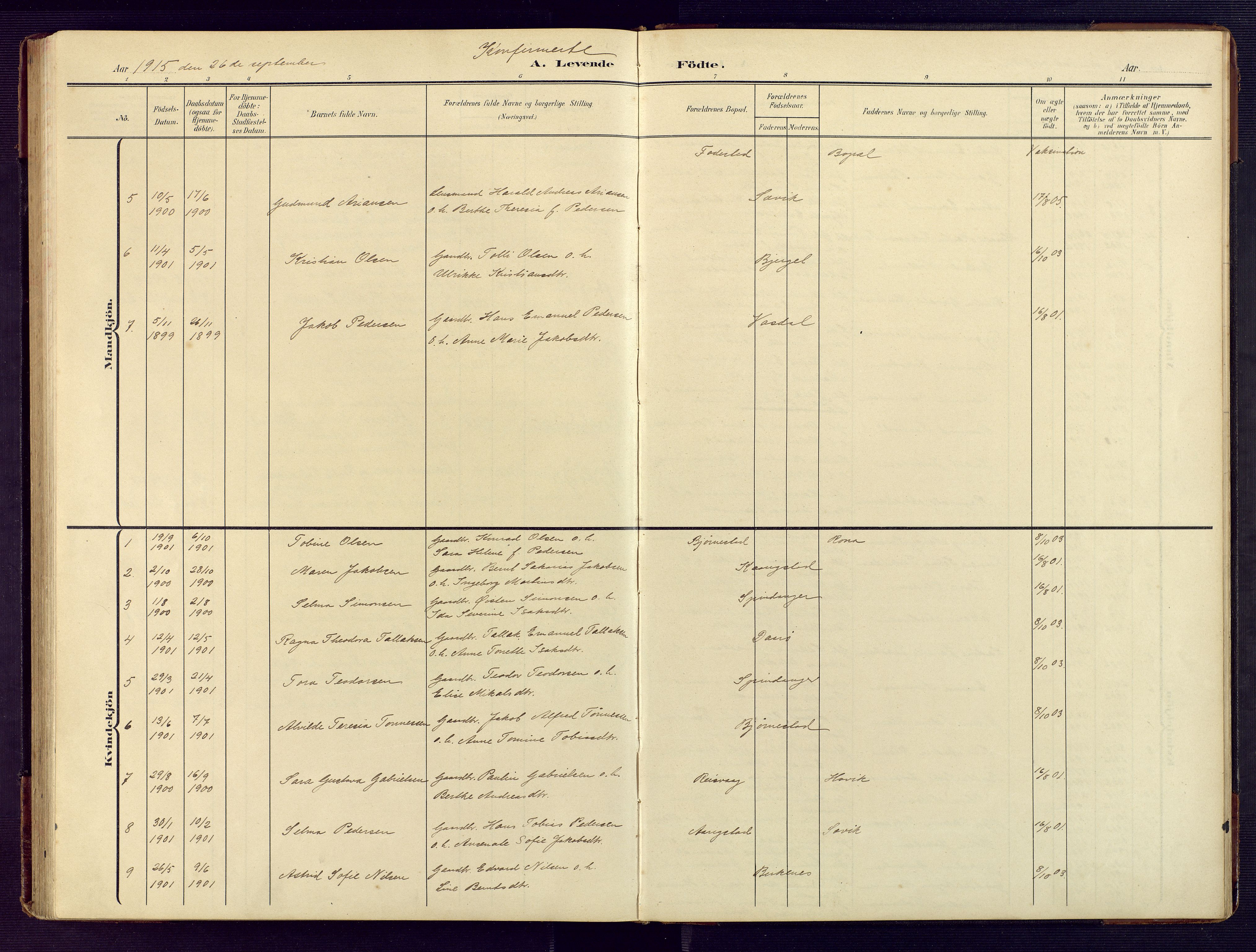 Herad sokneprestkontor, AV/SAK-1111-0018/F/Fb/Fbb/L0005: Parish register (copy) no. B 5, 1908-1949