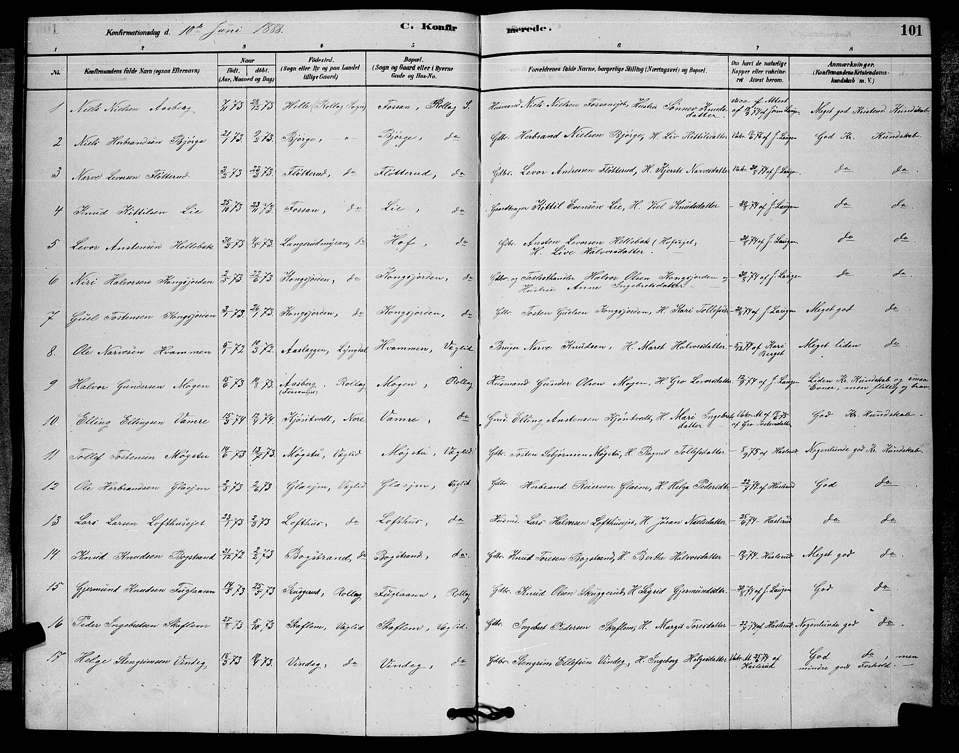 Rollag kirkebøker, SAKO/A-240/G/Ga/L0004: Parish register (copy) no. I 4, 1878-1903, p. 101
