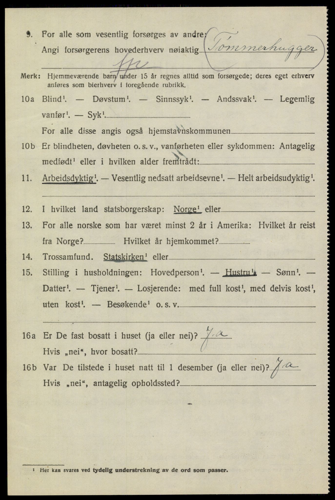 SAKO, 1920 census for Heddal, 1920, p. 7919