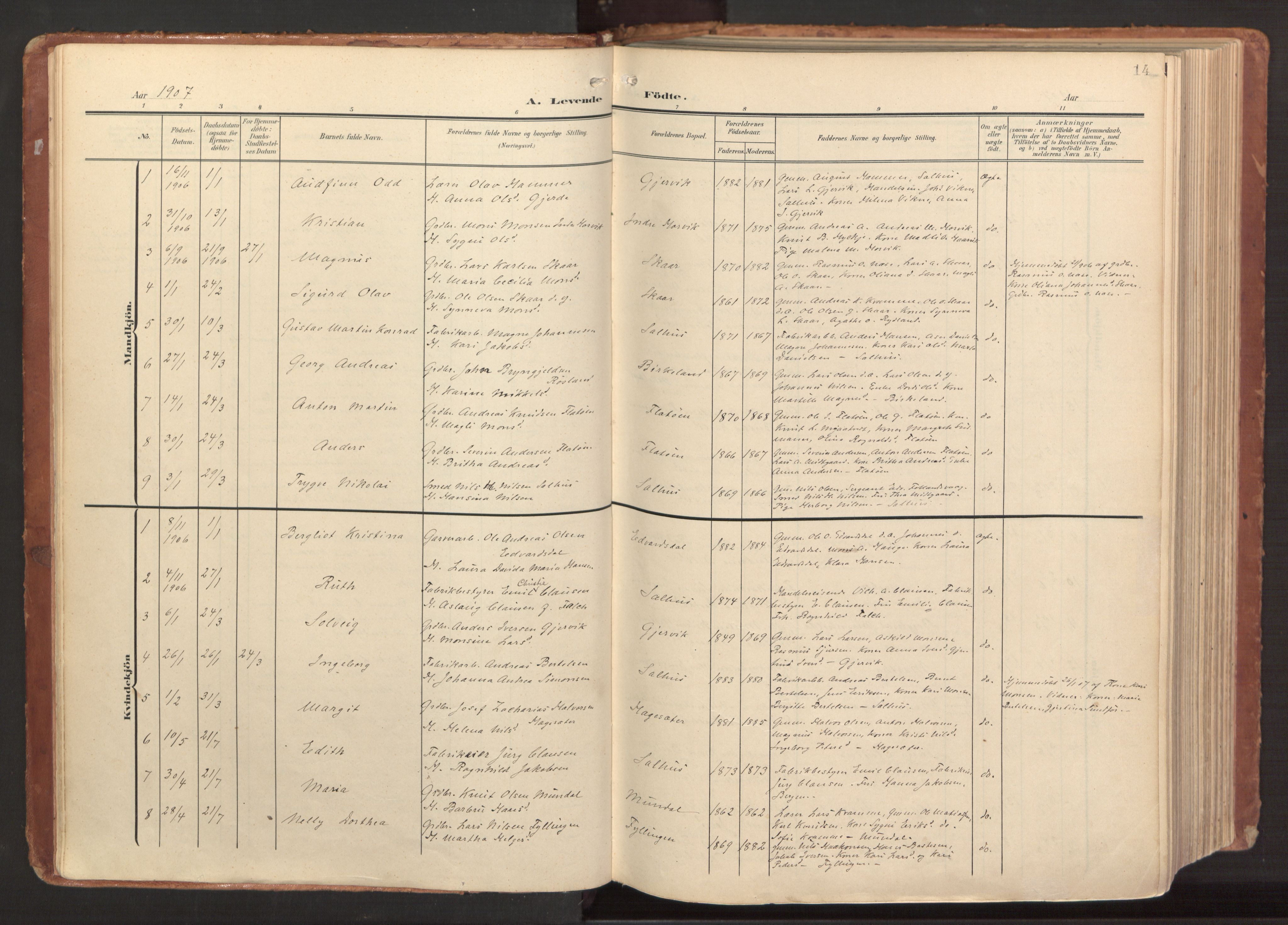 Hamre sokneprestembete, AV/SAB-A-75501/H/Ha/Haa/Haab/L0002: Parish register (official) no. B 2, 1905-1924, p. 14