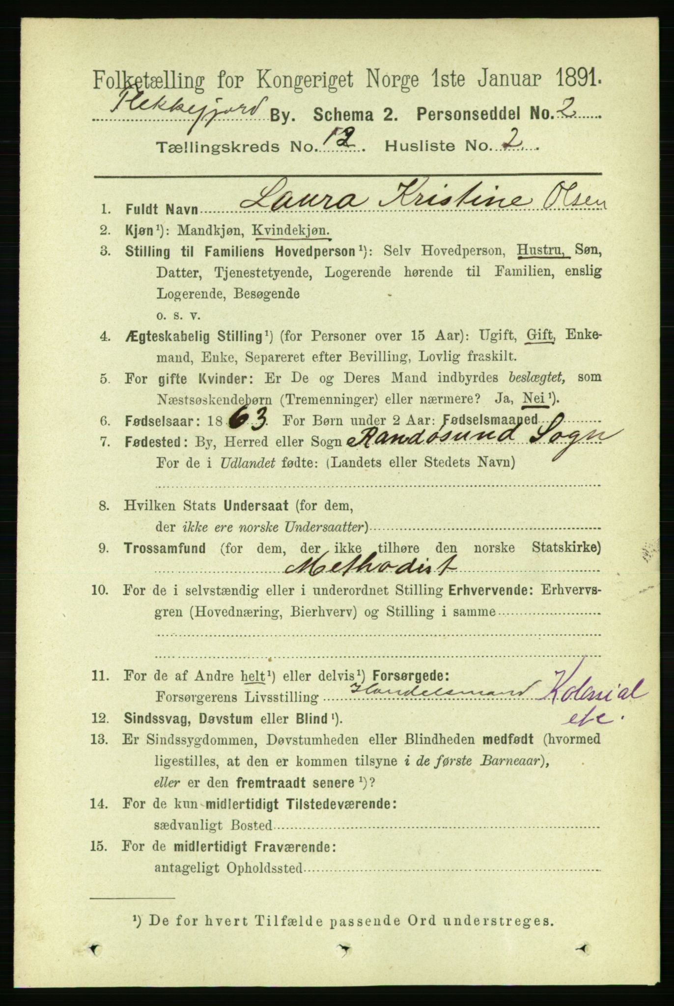 RA, 1891 census for 1004 Flekkefjord, 1891, p. 1696